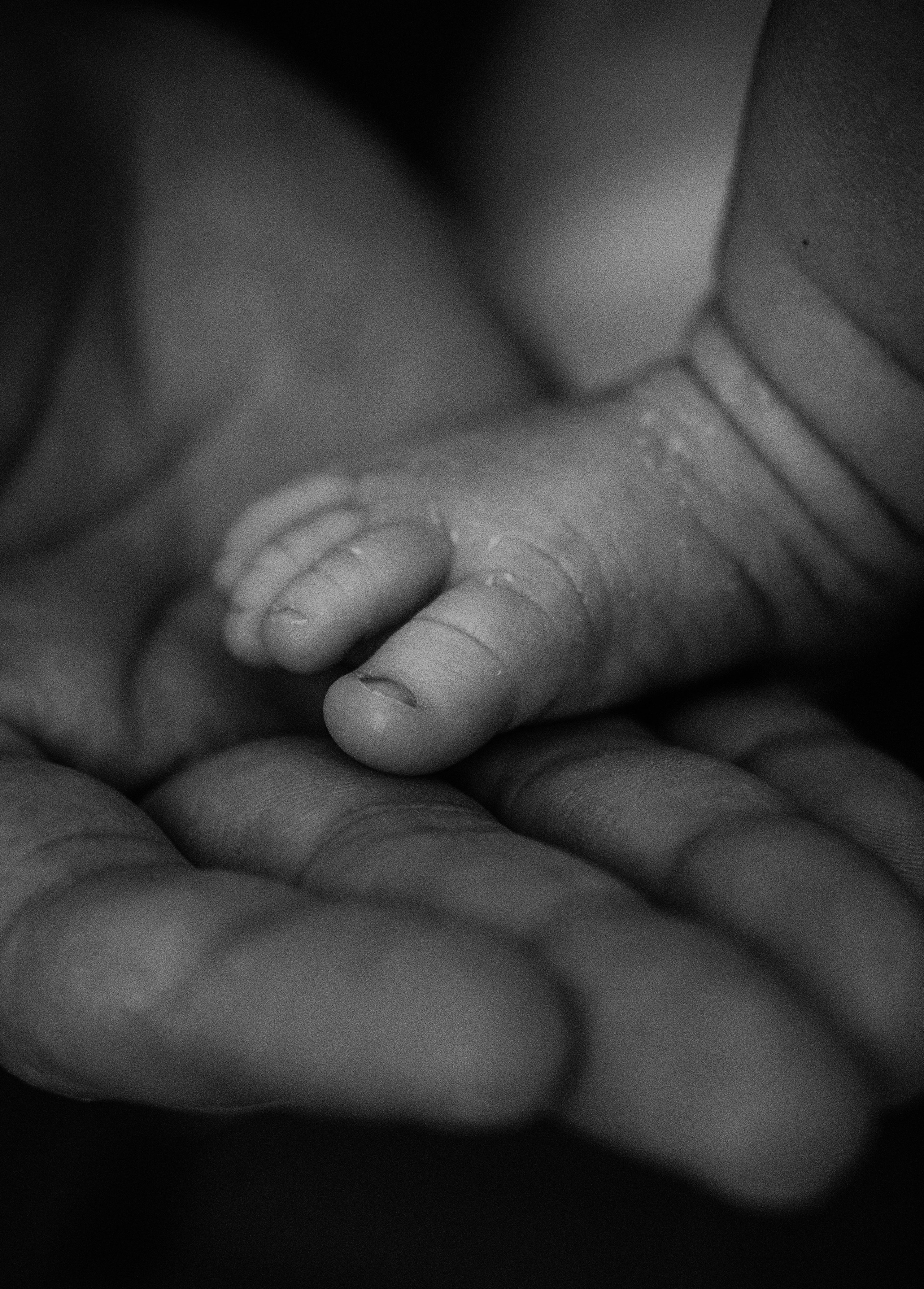 Лизавета, Никита и Мирослава. Фотограф беременности и семьи, домашние съемки, Ньюборн