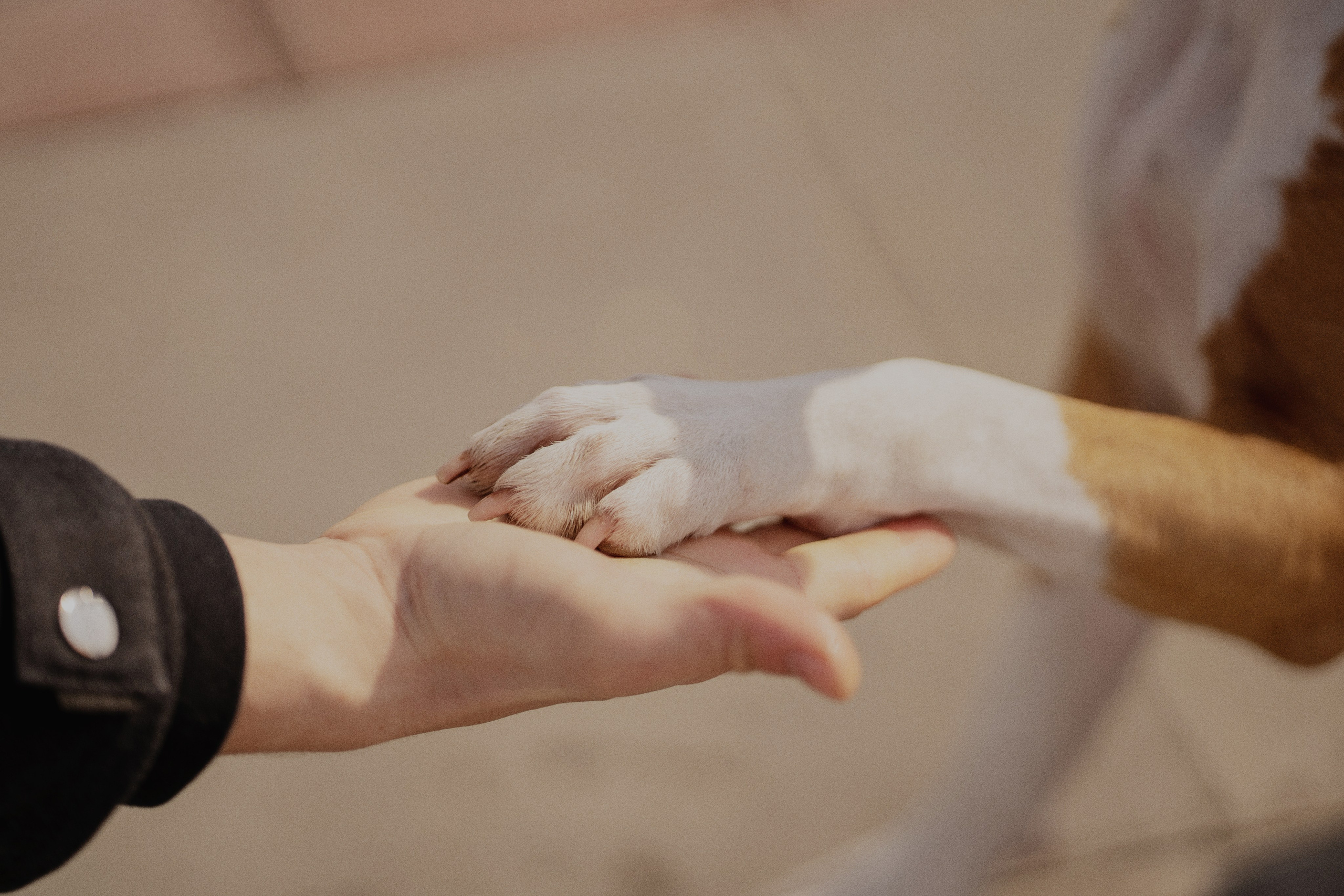 Луна. Kameramotor74