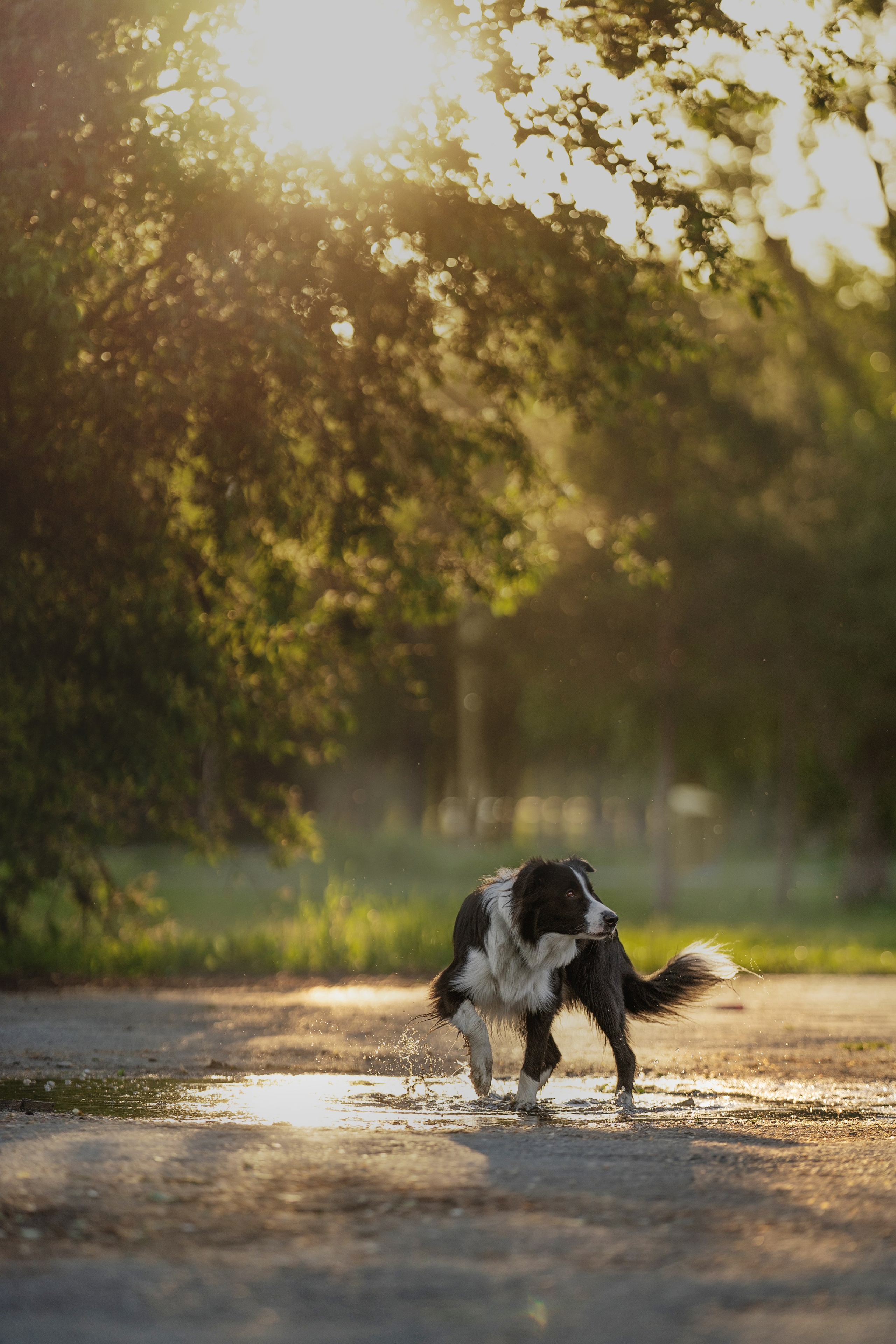 Люба + Близ (рассветная съемка). Kameramotor74