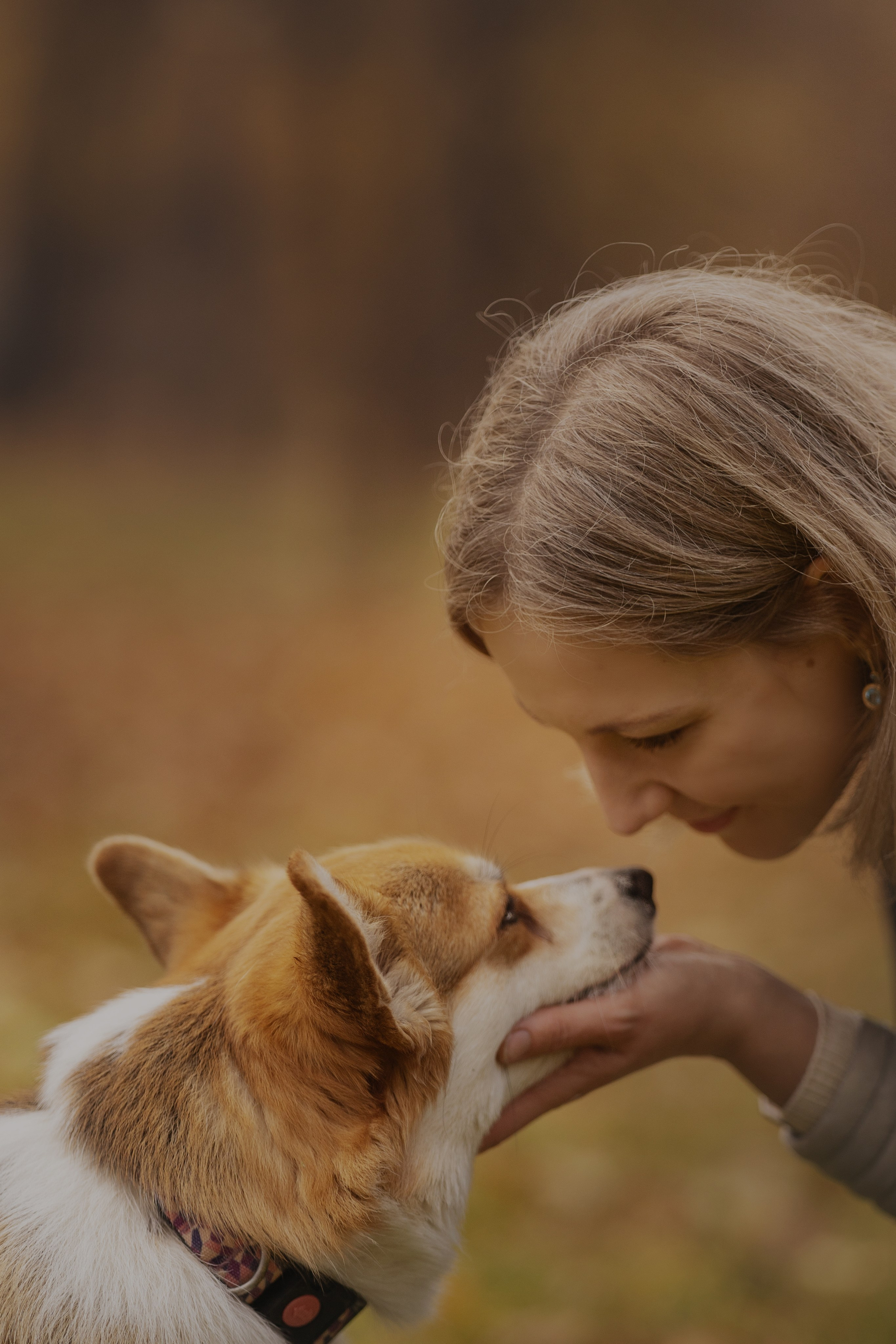 Ольга с семьей и их коргибанда. Kameramotor74