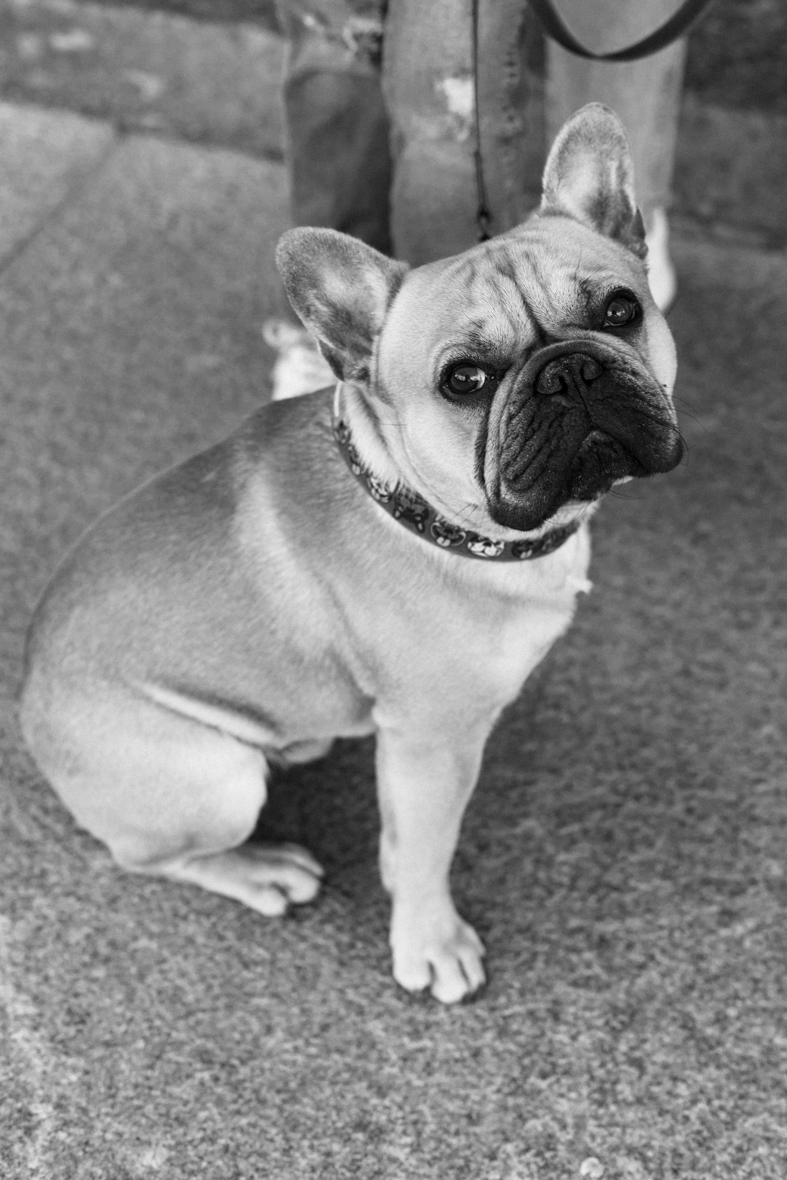 Фотопрогулка мамы и дочки в Михайловском саду. Детский и контент фотограф Надя Волкова Санкт-Петербург