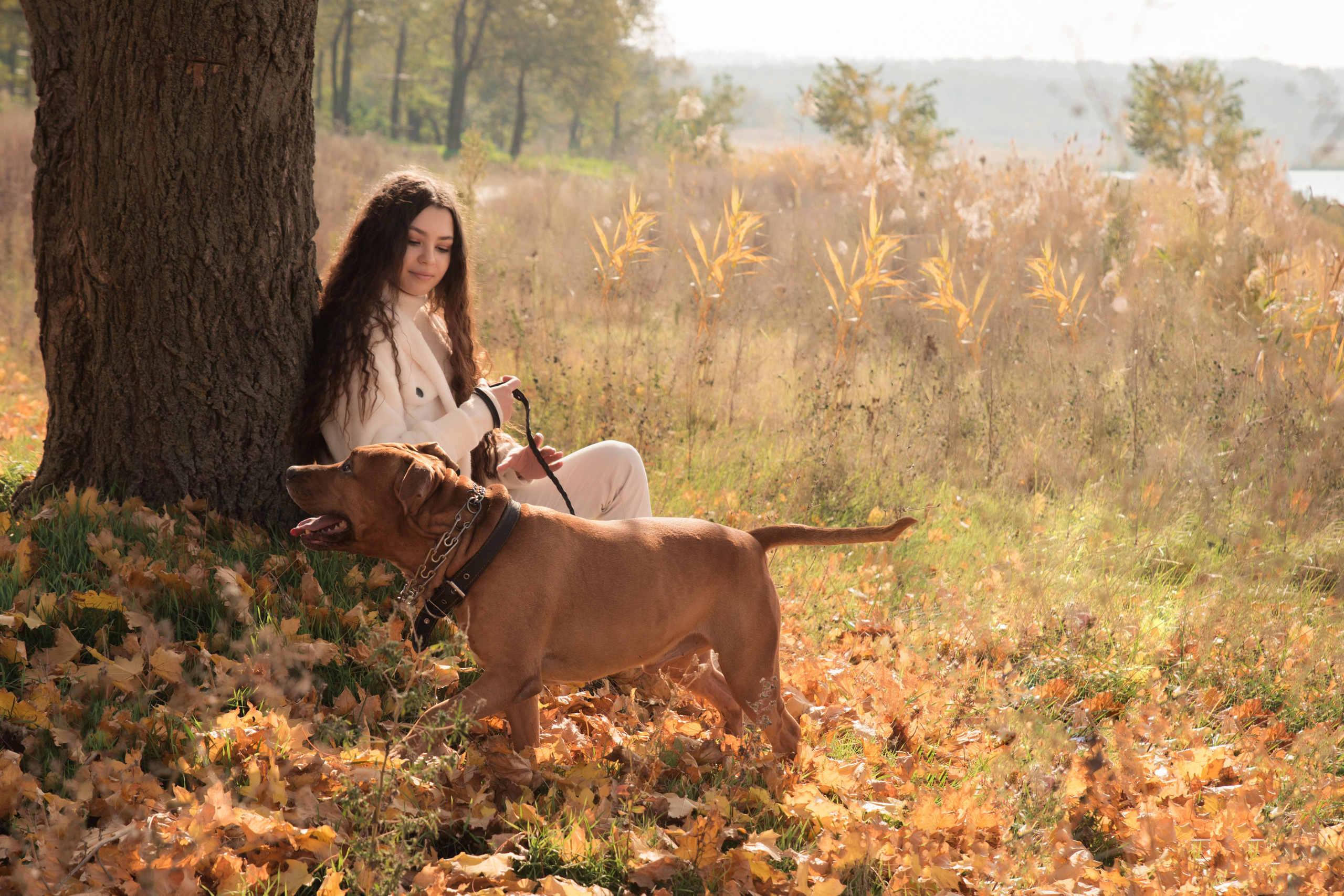 Лера —прогулка на озере с Гектором. Свадебный и семейный фотограф в Ставрополе Евгения Кузьмичева
