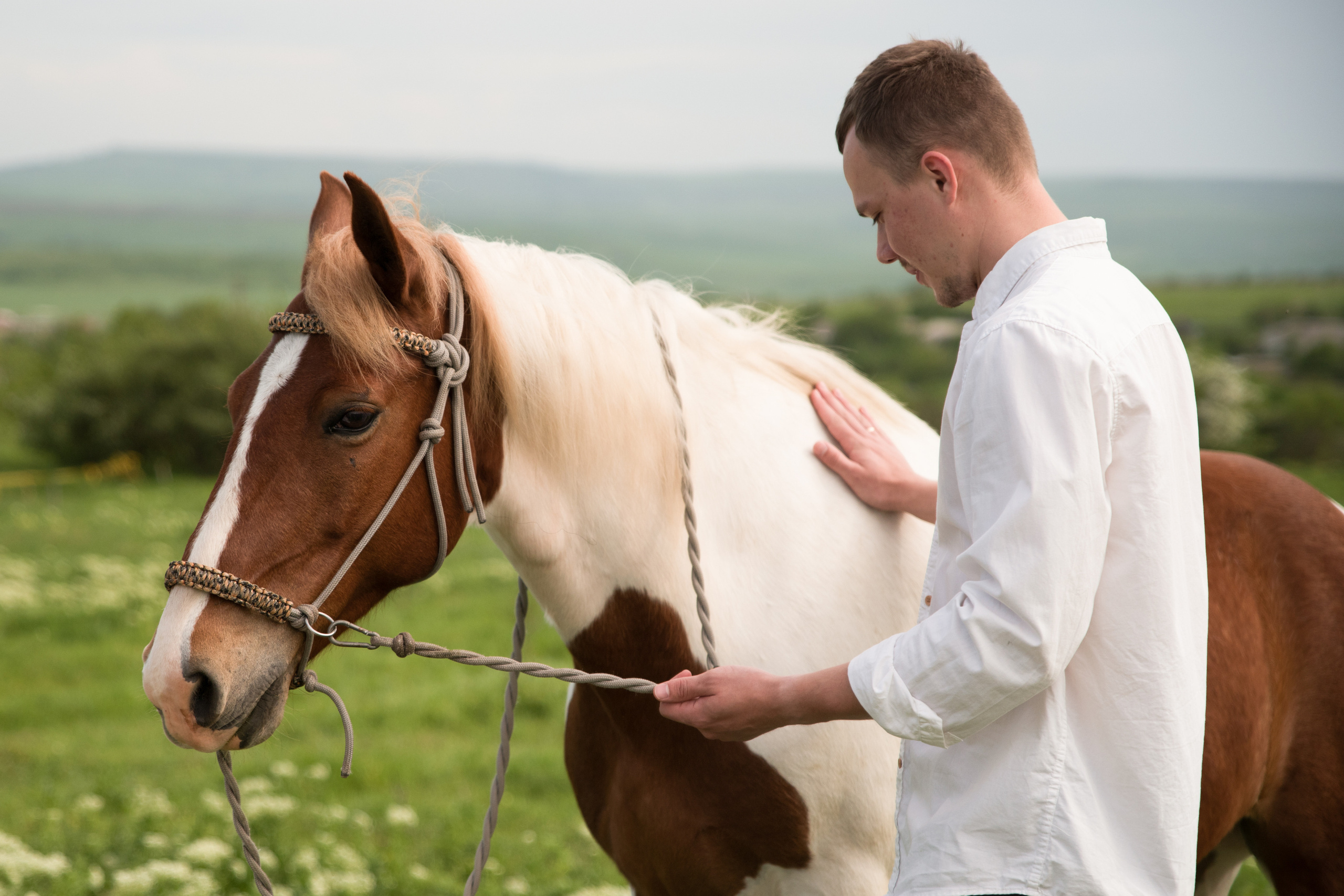Дима и Настя. Свадебный и семейный фотограф в Ставрополе Евгения Кузьмичева