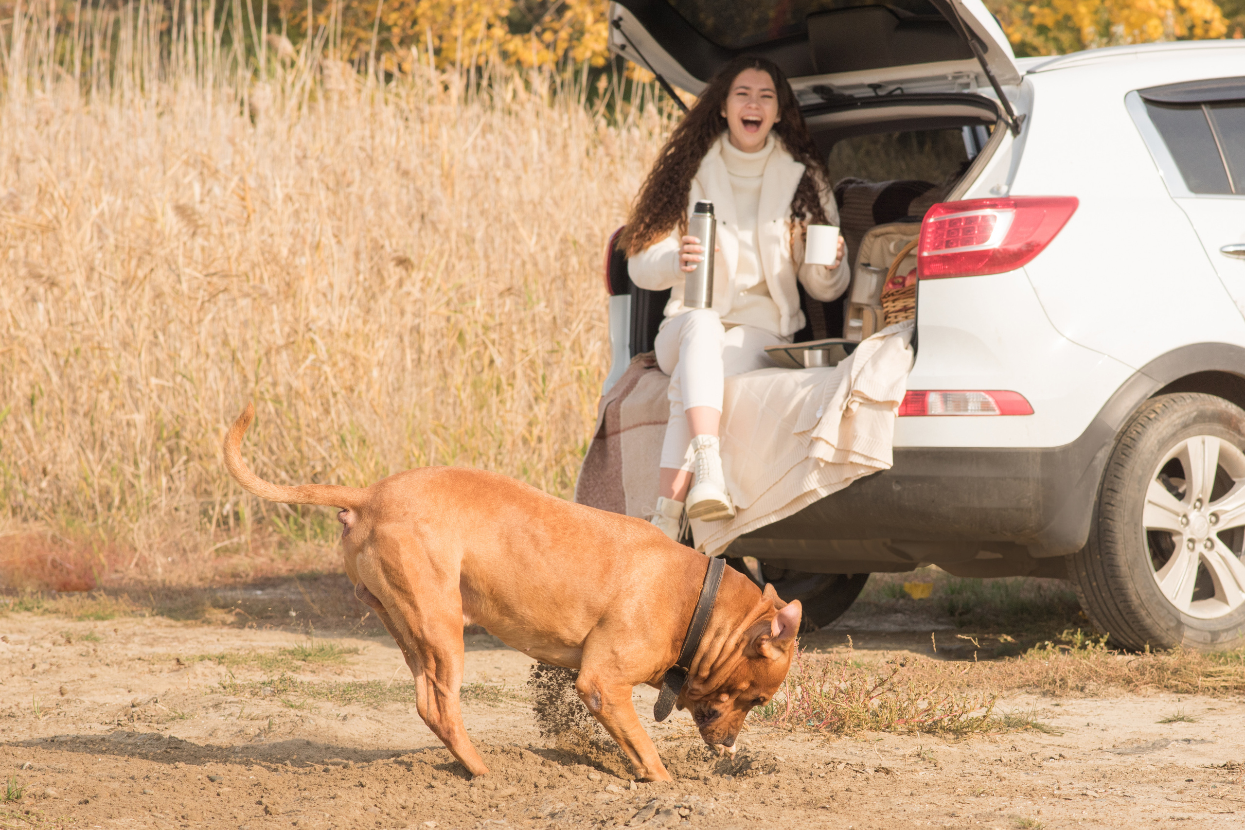 Лера —прогулка на озере с Гектором. Свадебный и семейный фотограф в Ставрополе Евгения Кузьмичева