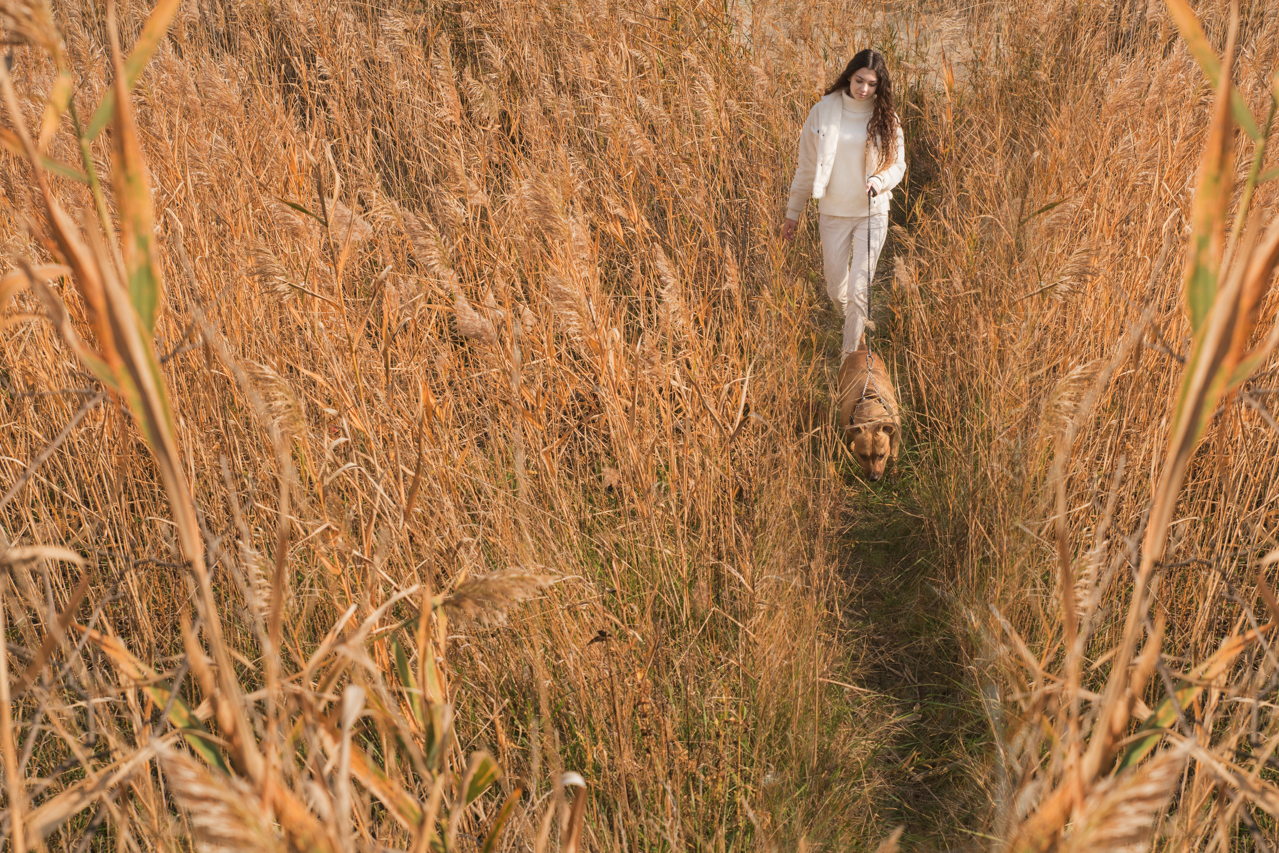 Лера —прогулка на озере с Гектором. Свадебный и семейный фотограф в Ставрополе Евгения Кузьмичева