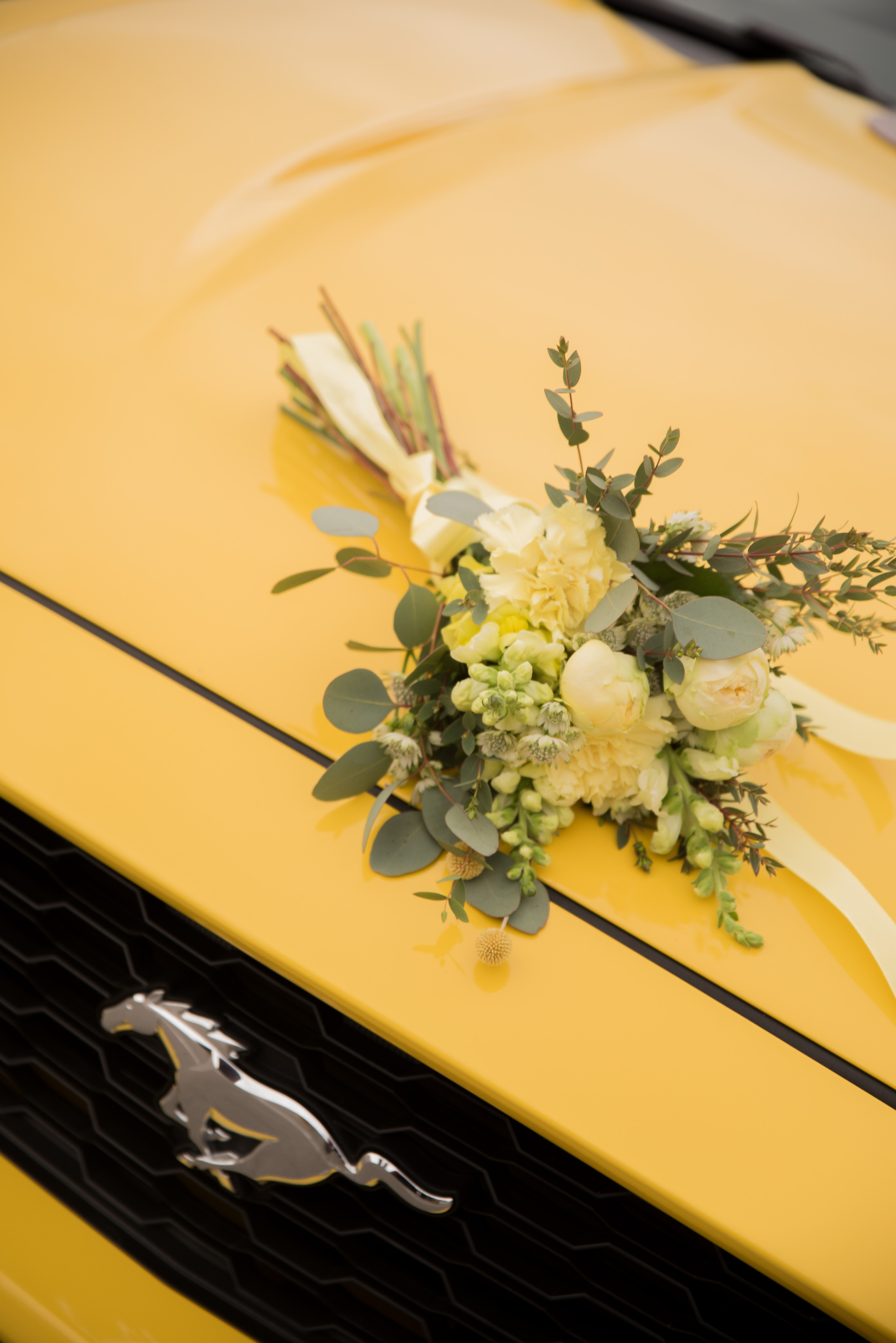 Свадьба для двоих. Свадебный и семейный фотограф в Ставрополе Евгения Кузьмичева