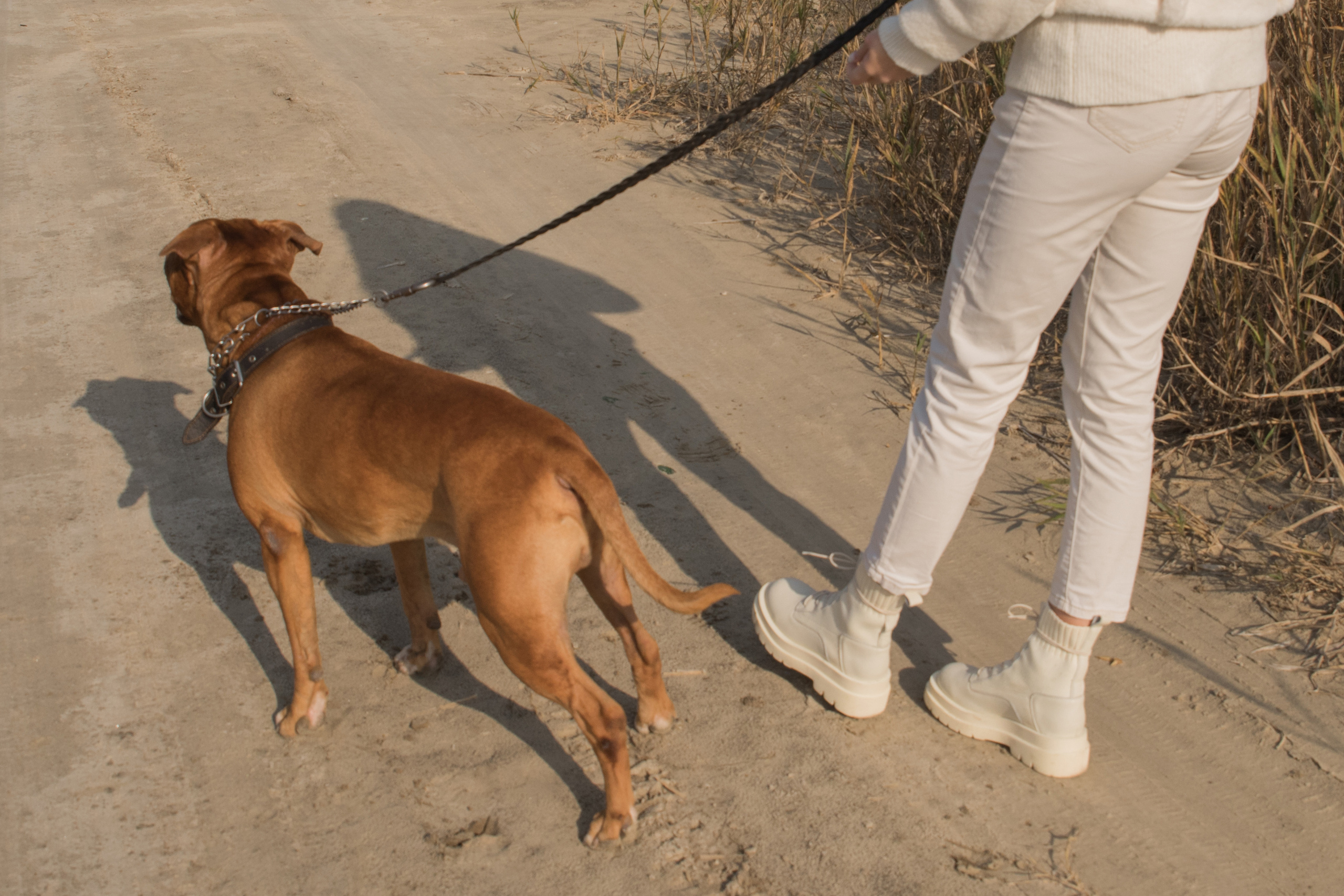 Лера —прогулка на озере с Гектором. Свадебный и семейный фотограф в Ставрополе Евгения Кузьмичева