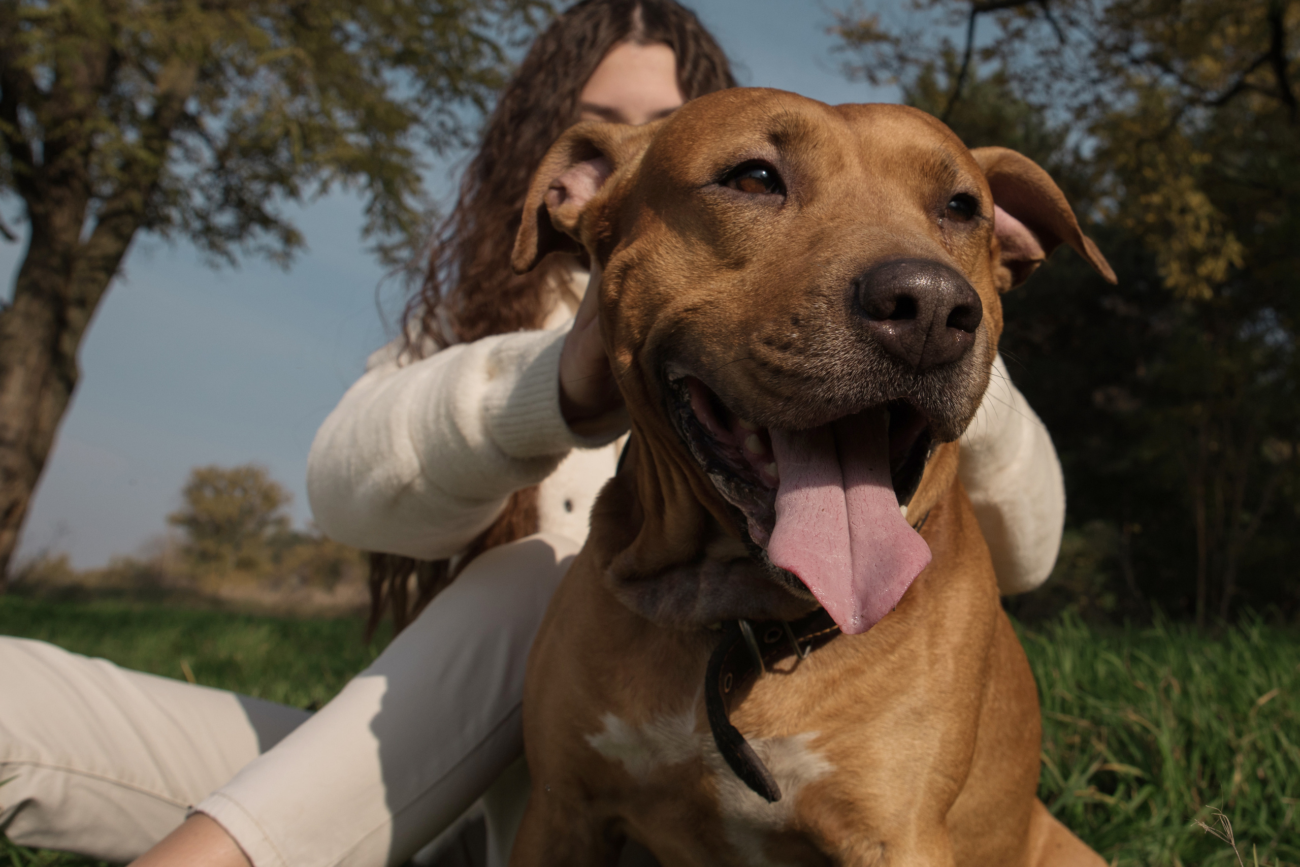 Лера —прогулка на озере с Гектором. Свадебный и семейный фотограф в Ставрополе Евгения Кузьмичева