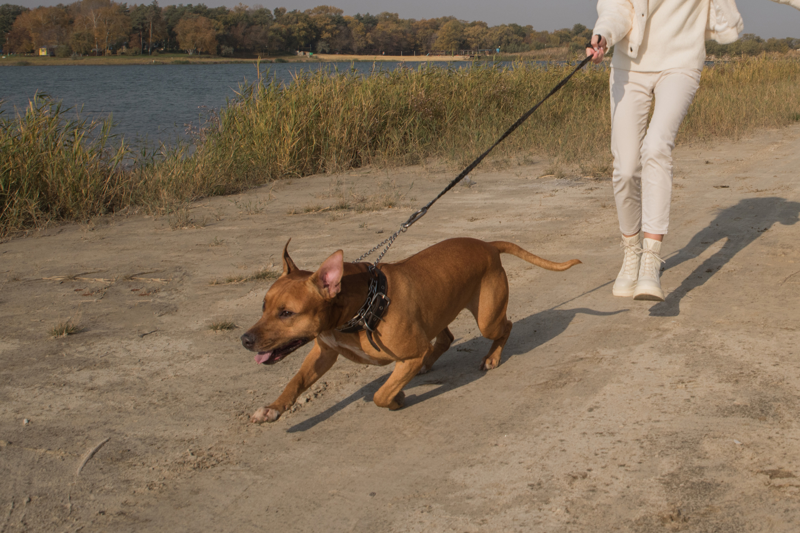 Лера —прогулка на озере с Гектором. Свадебный и семейный фотограф в Ставрополе Евгения Кузьмичева