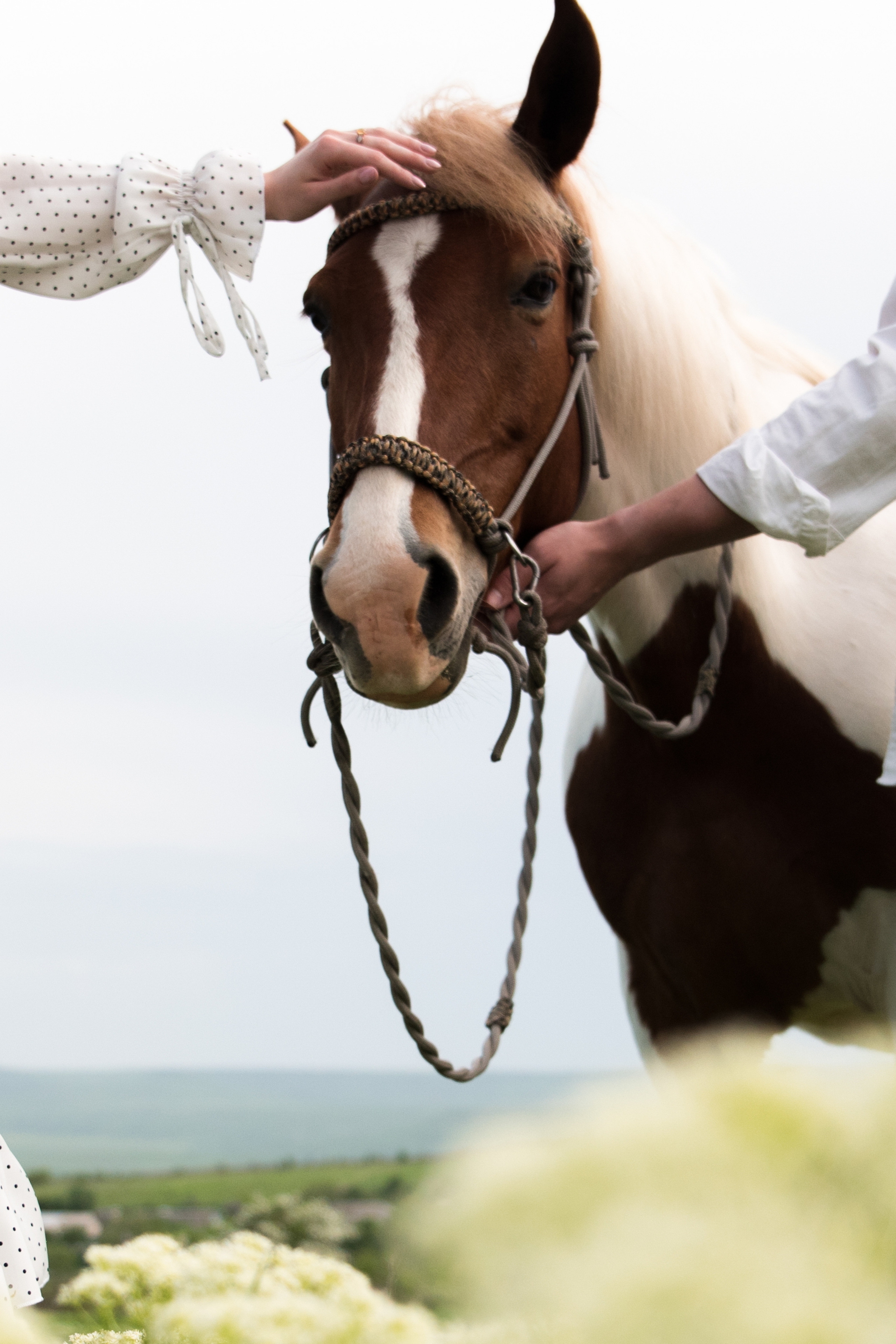 Дима и Настя. Свадебный и семейный фотограф в Ставрополе Евгения Кузьмичева