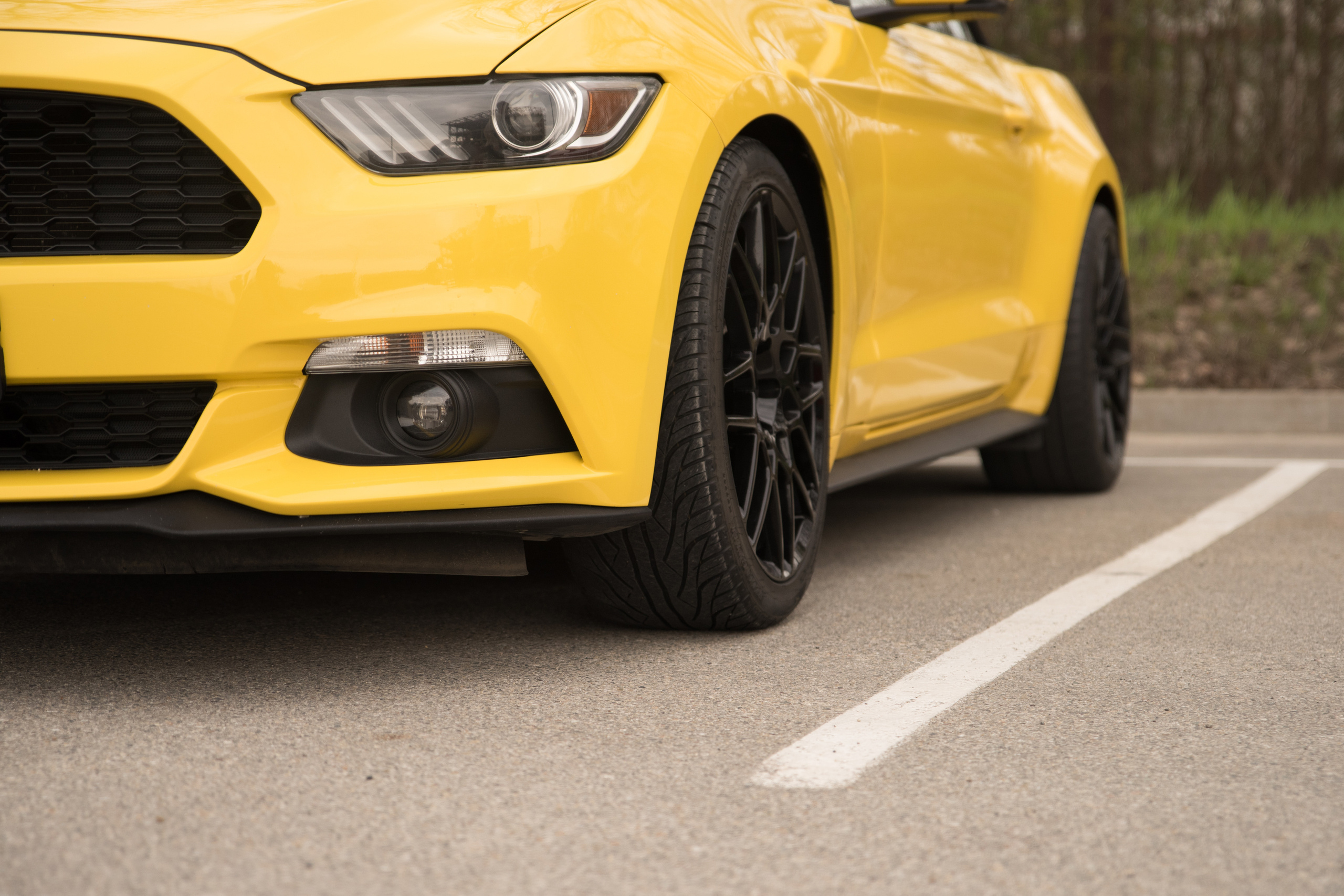 Свадьба для двоих. Свадебный и семейный фотограф в Ставрополе Евгения Кузьмичева