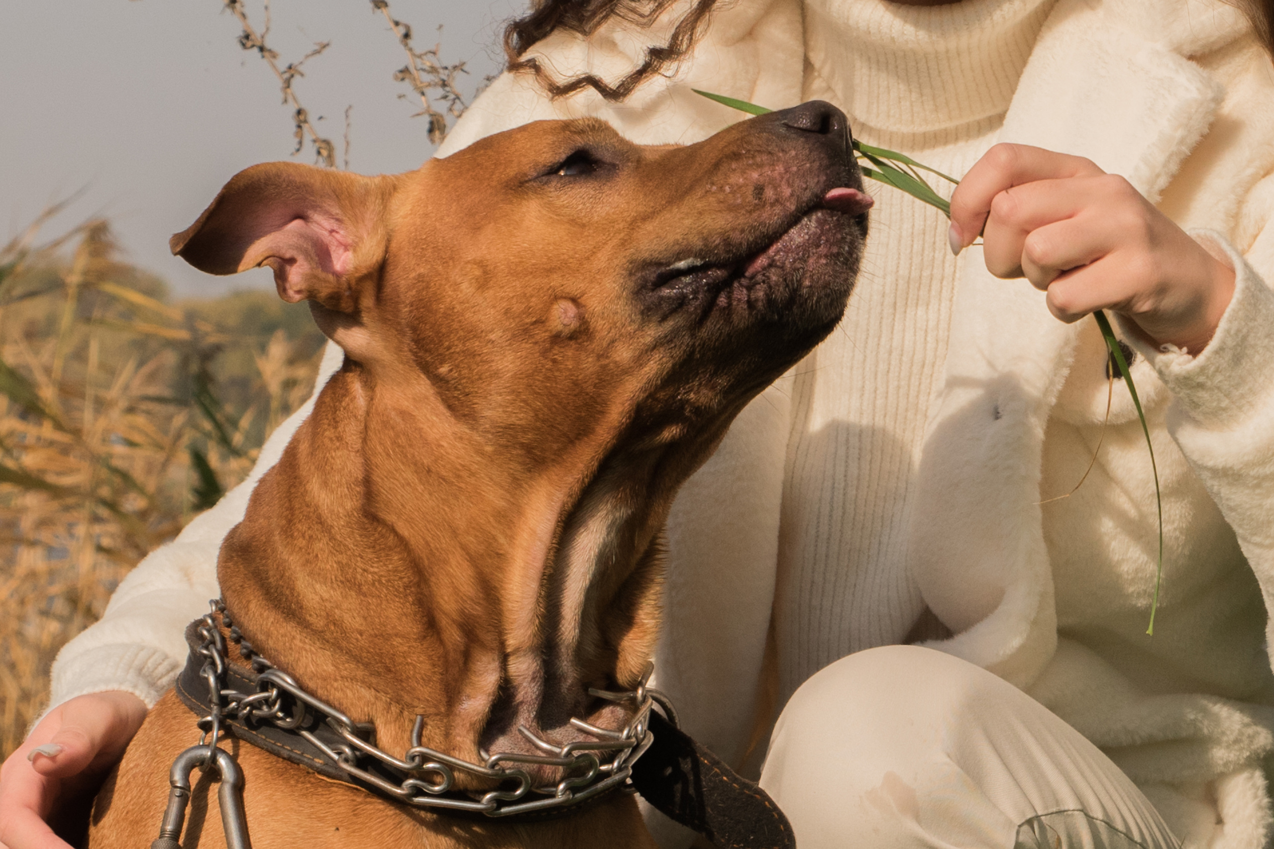 Лера —прогулка на озере с Гектором. Свадебный и семейный фотограф в Ставрополе Евгения Кузьмичева