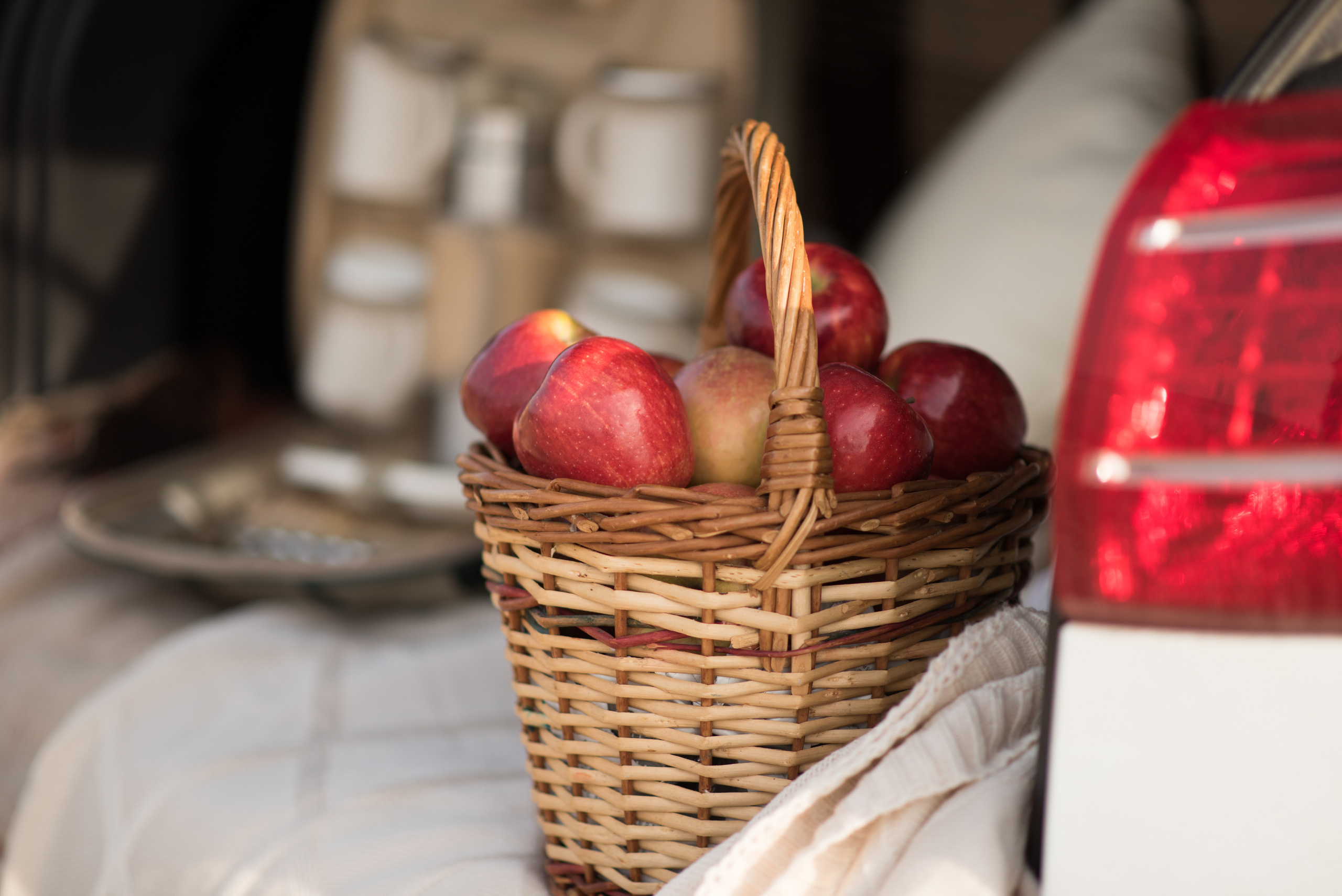 Лера —прогулка на озере с Гектором. Свадебный и семейный фотограф в Ставрополе Евгения Кузьмичева