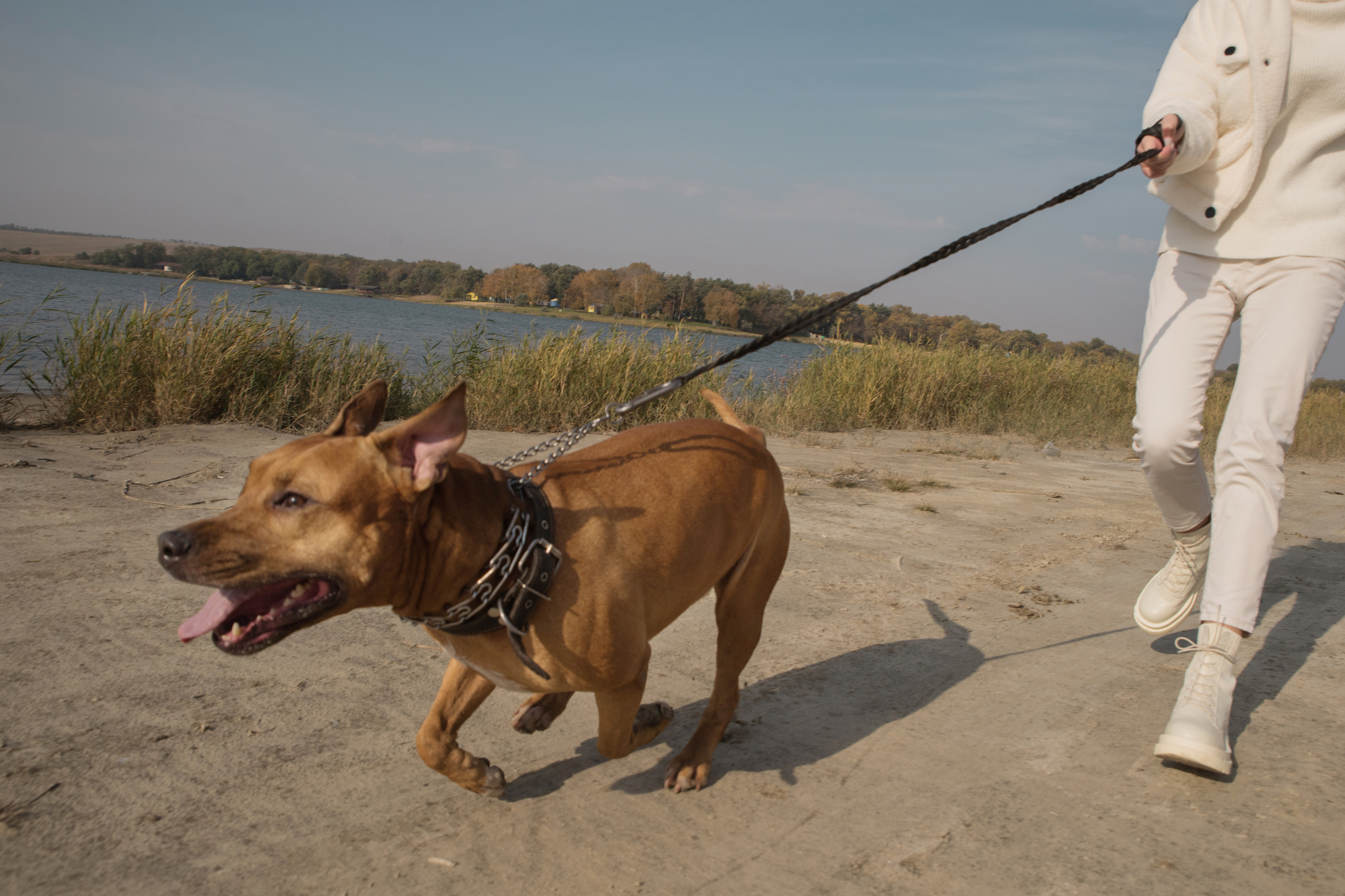 Лера —прогулка на озере с Гектором. Свадебный и семейный фотограф в Ставрополе Евгения Кузьмичева