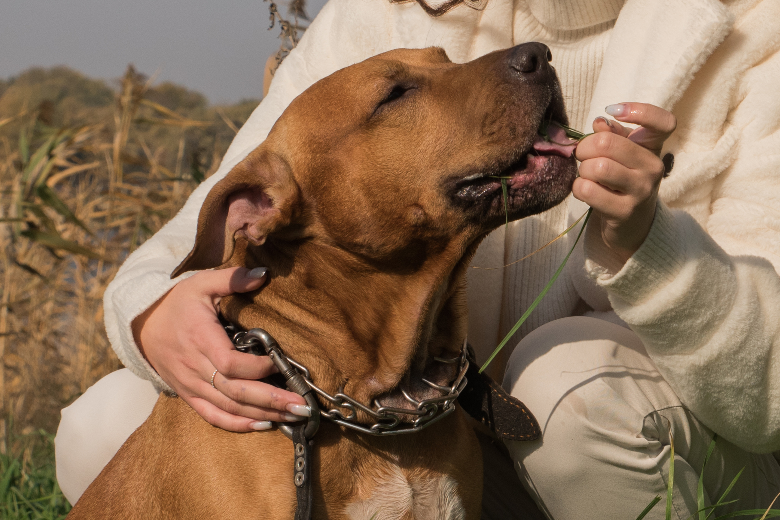 Лера —прогулка на озере с Гектором. Свадебный и семейный фотограф в Ставрополе Евгения Кузьмичева