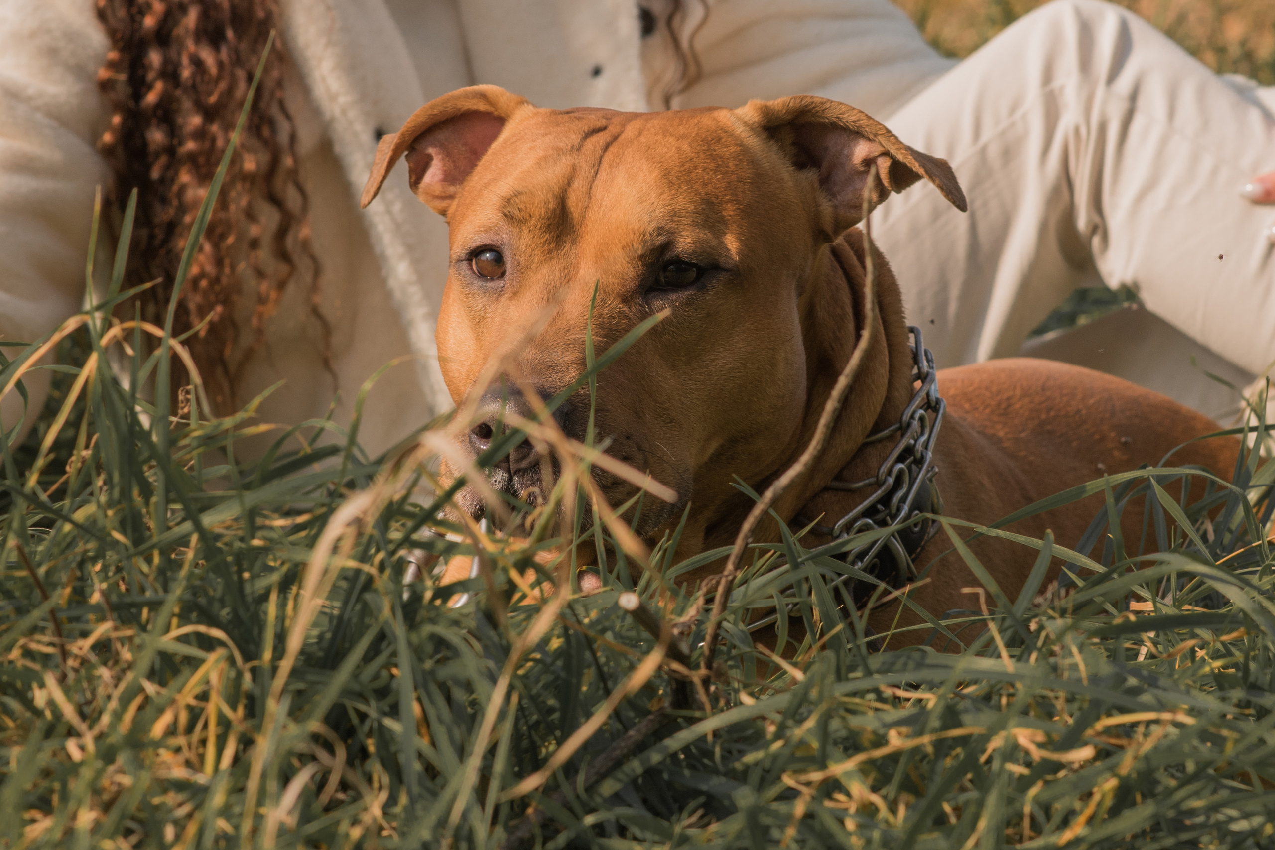 Лера —прогулка на озере с Гектором. Свадебный и семейный фотограф в Ставрополе Евгения Кузьмичева