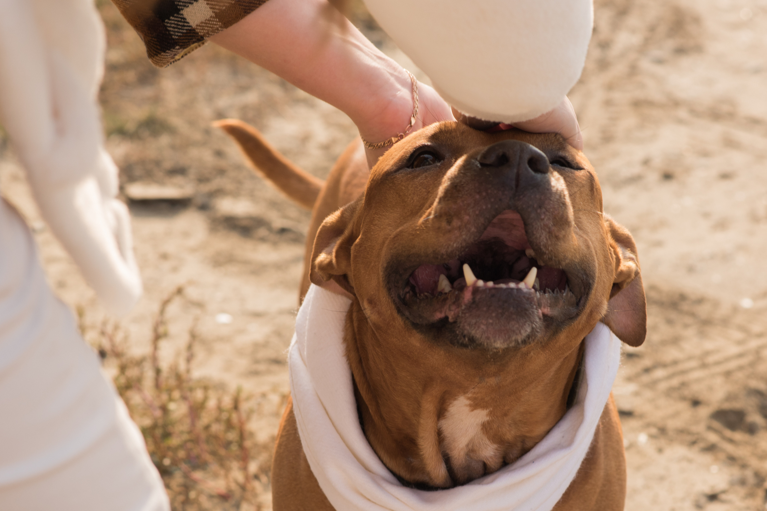 Лера —прогулка на озере с Гектором. Свадебный и семейный фотограф в Ставрополе Евгения Кузьмичева