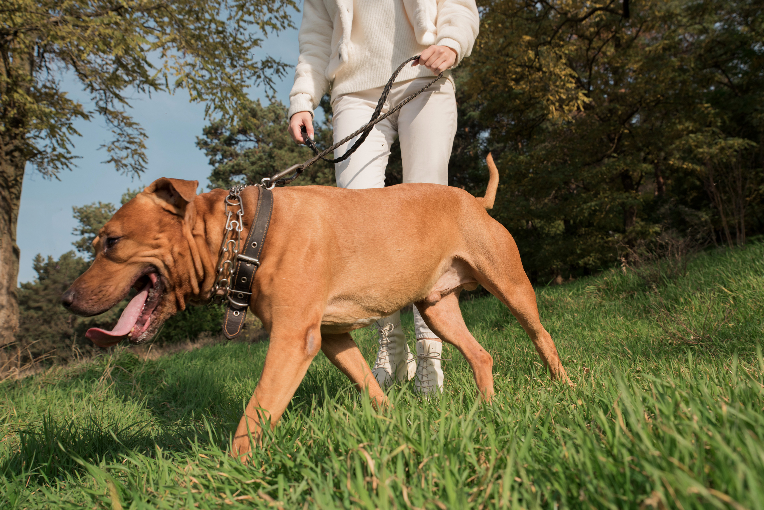Лера —прогулка на озере с Гектором. Свадебный и семейный фотограф в Ставрополе Евгения Кузьмичева