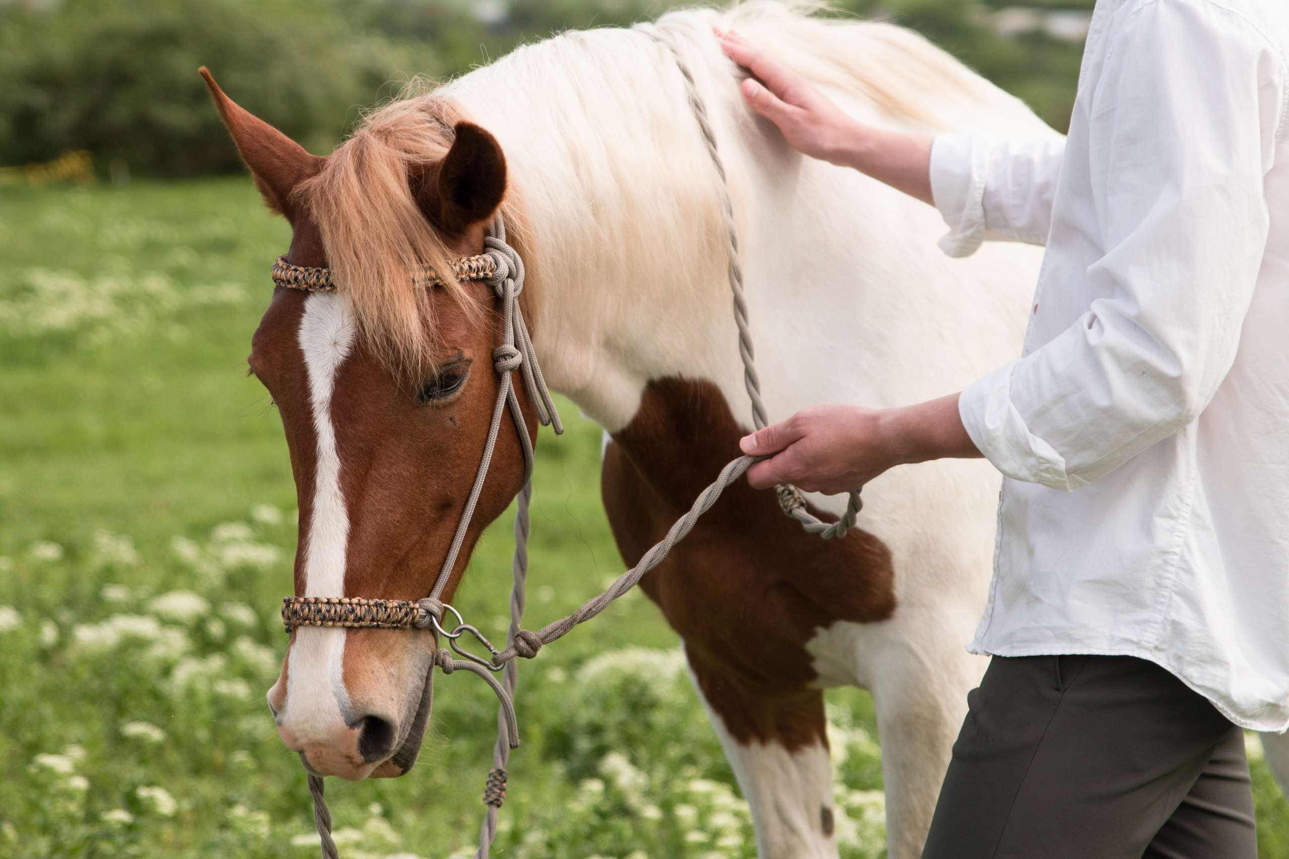 Дима и Настя. Свадебный и семейный фотограф в Ставрополе Евгения Кузьмичева