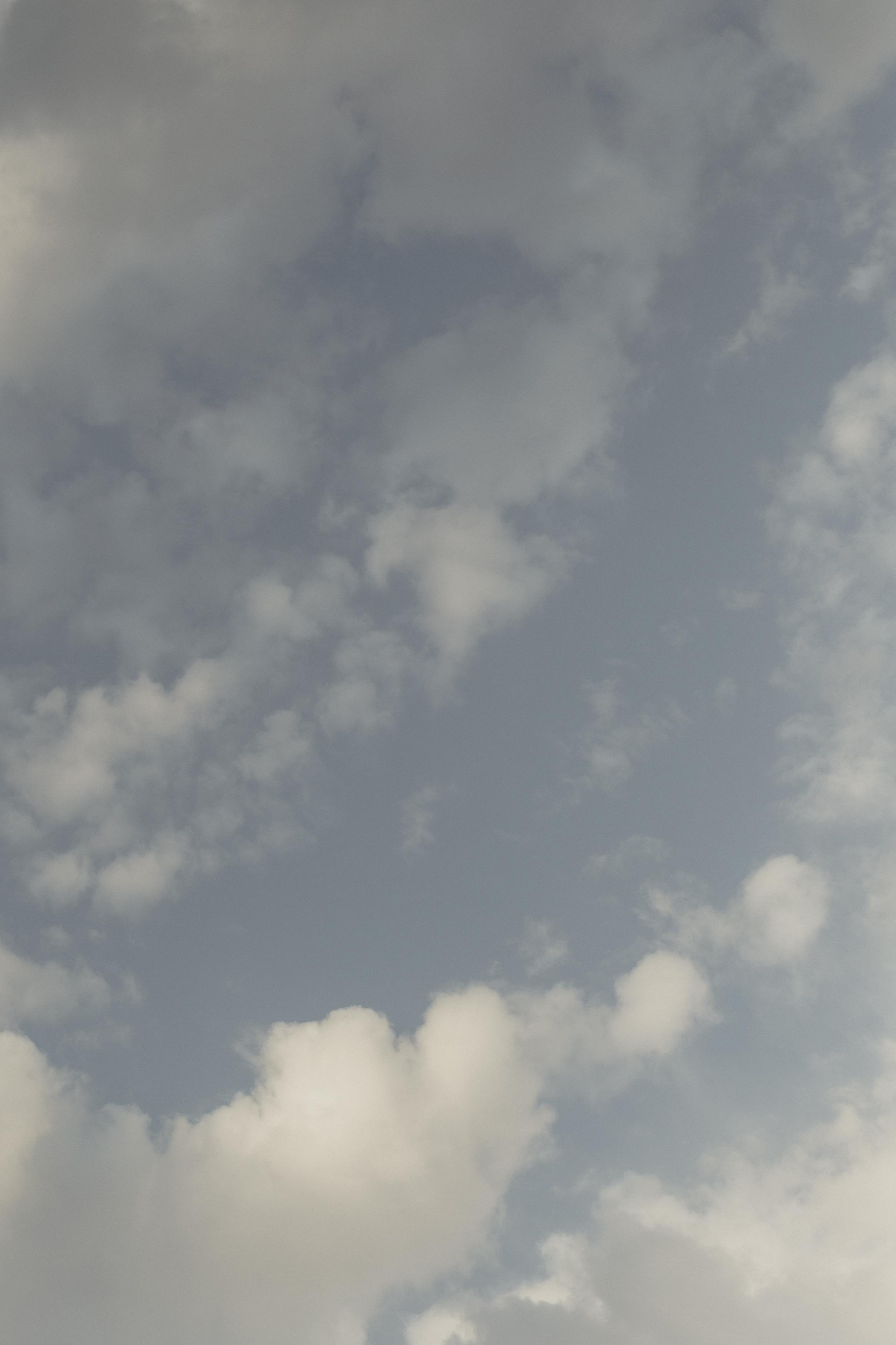 ПОЛИНА. Свадебный фотограф Станислав Стиви