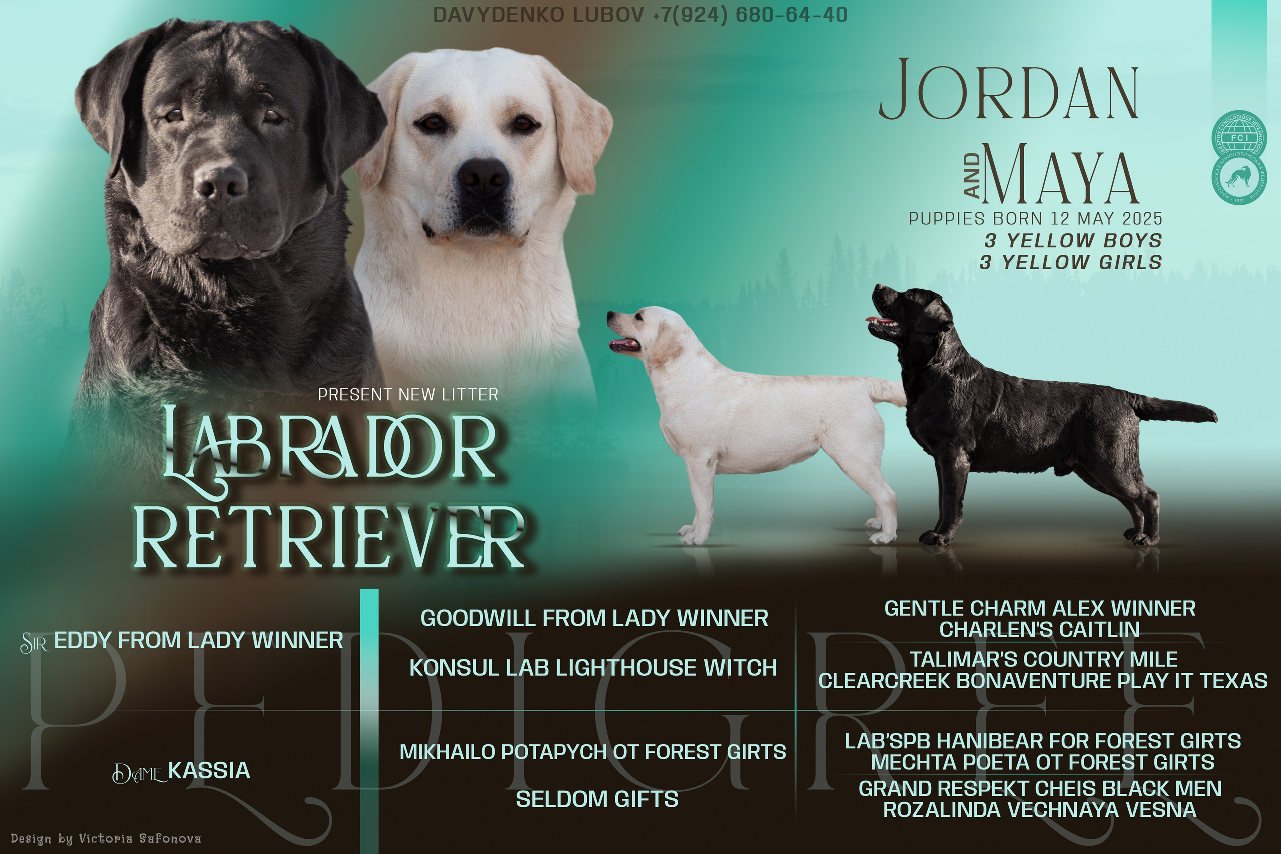 Анонсы помётов. Фотограф анималист Благовещенск. Сафонова Виктория