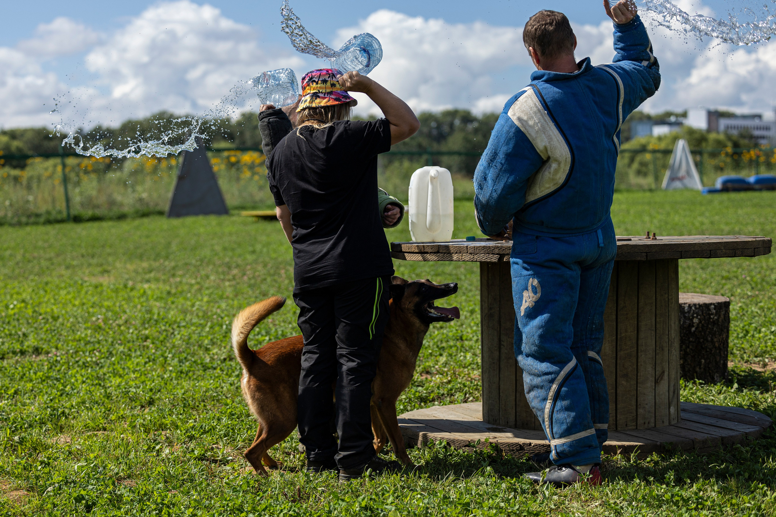 Соревнования по Мондьорингу г. Вологда 10-11.08.2024. Фотограф-анималист Анна Маринич