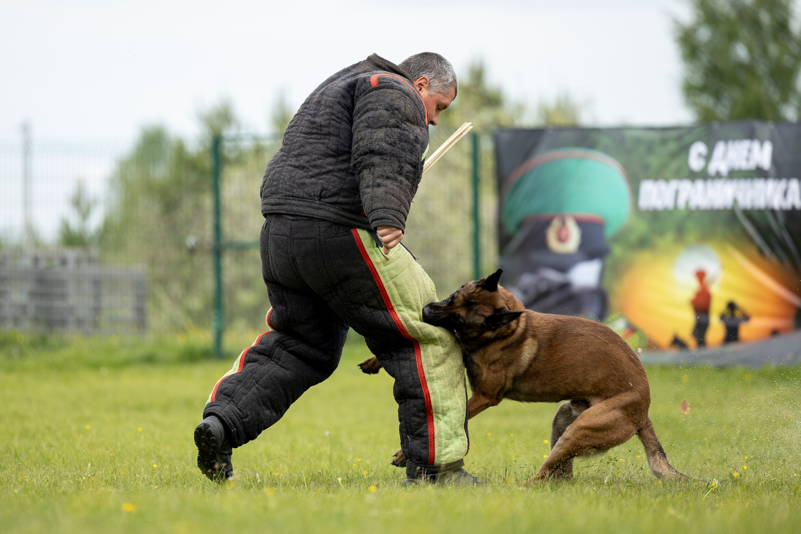 Испытания по мондьорингу в Нижнем Новгороде. Фотограф-анималист Анна Маринич