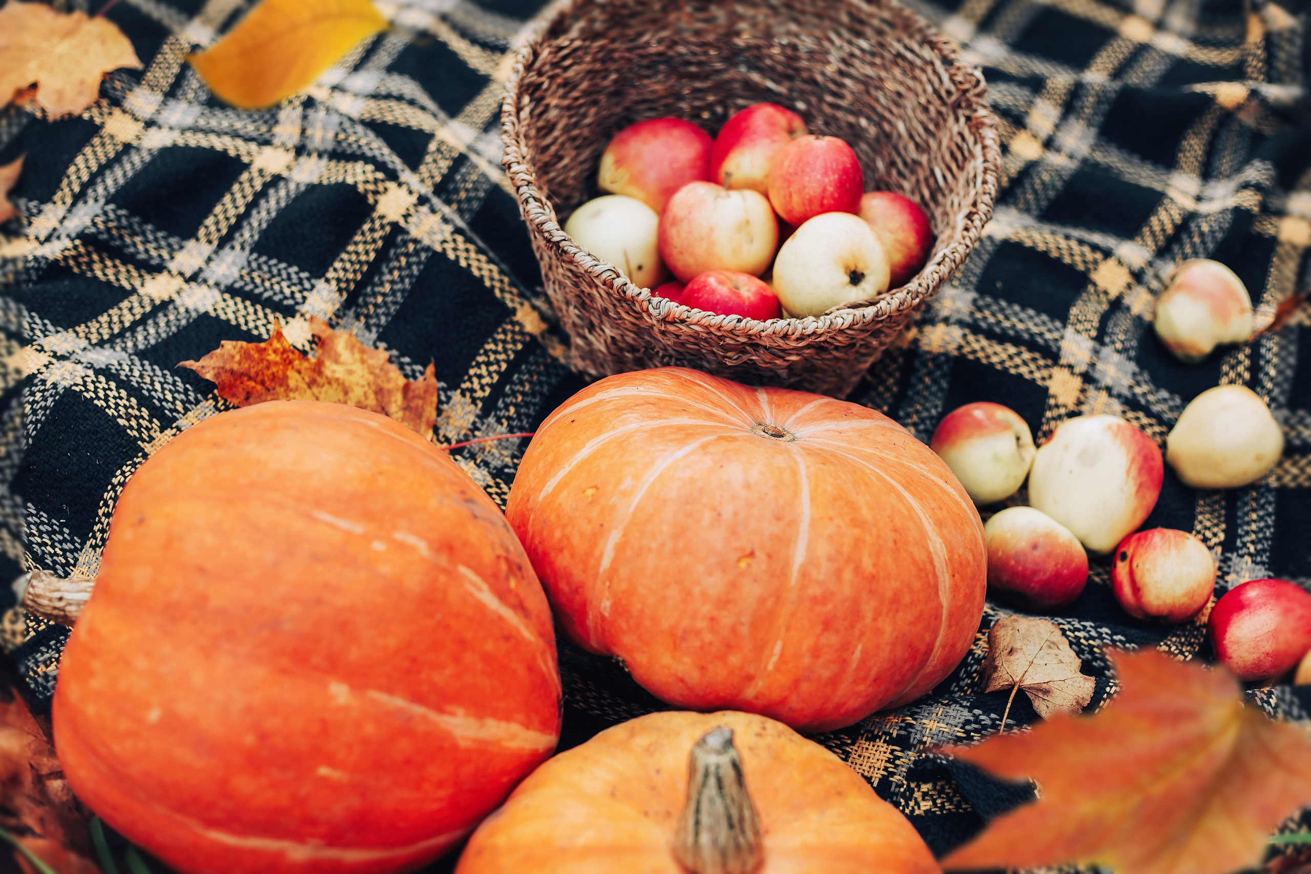 Семья Щегляк. Школьный и детский фотограф Старожилово