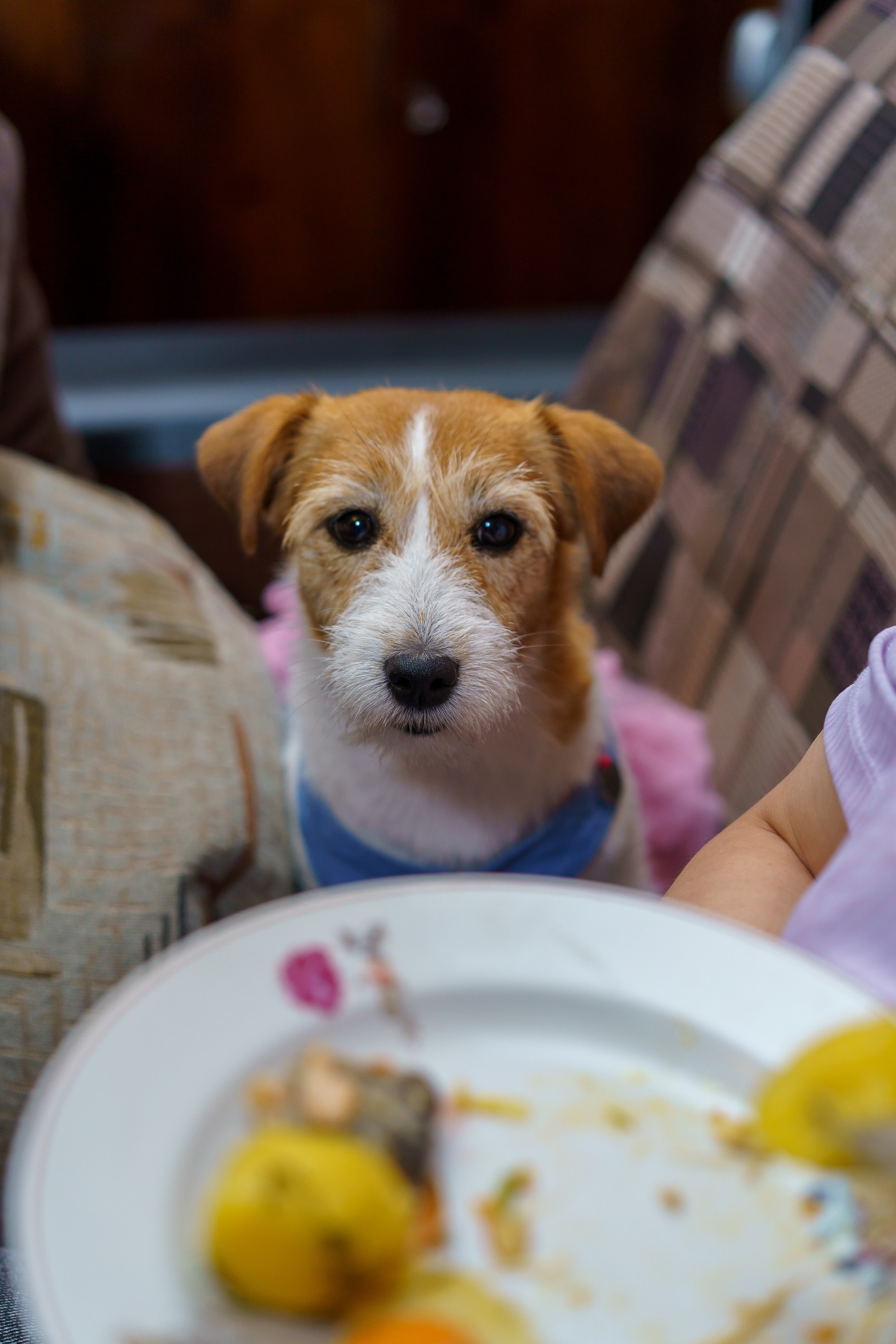 ДР многообожаемого А.В.!. Фотограф Челябинск · Ольга Серебрякова