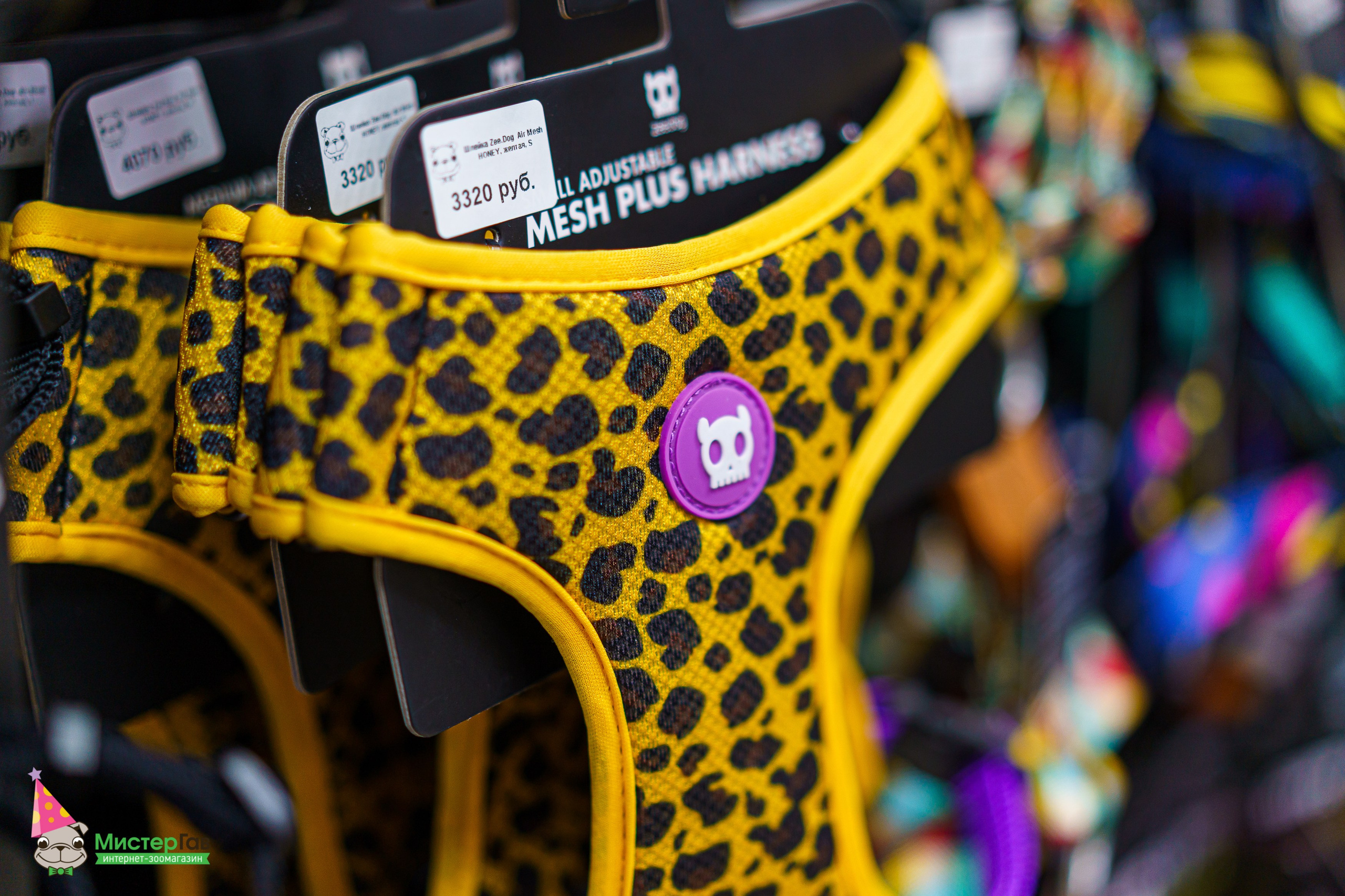 Мистер Гав -13 лет!. Фотограф Челябинск · Ольга Серебрякова