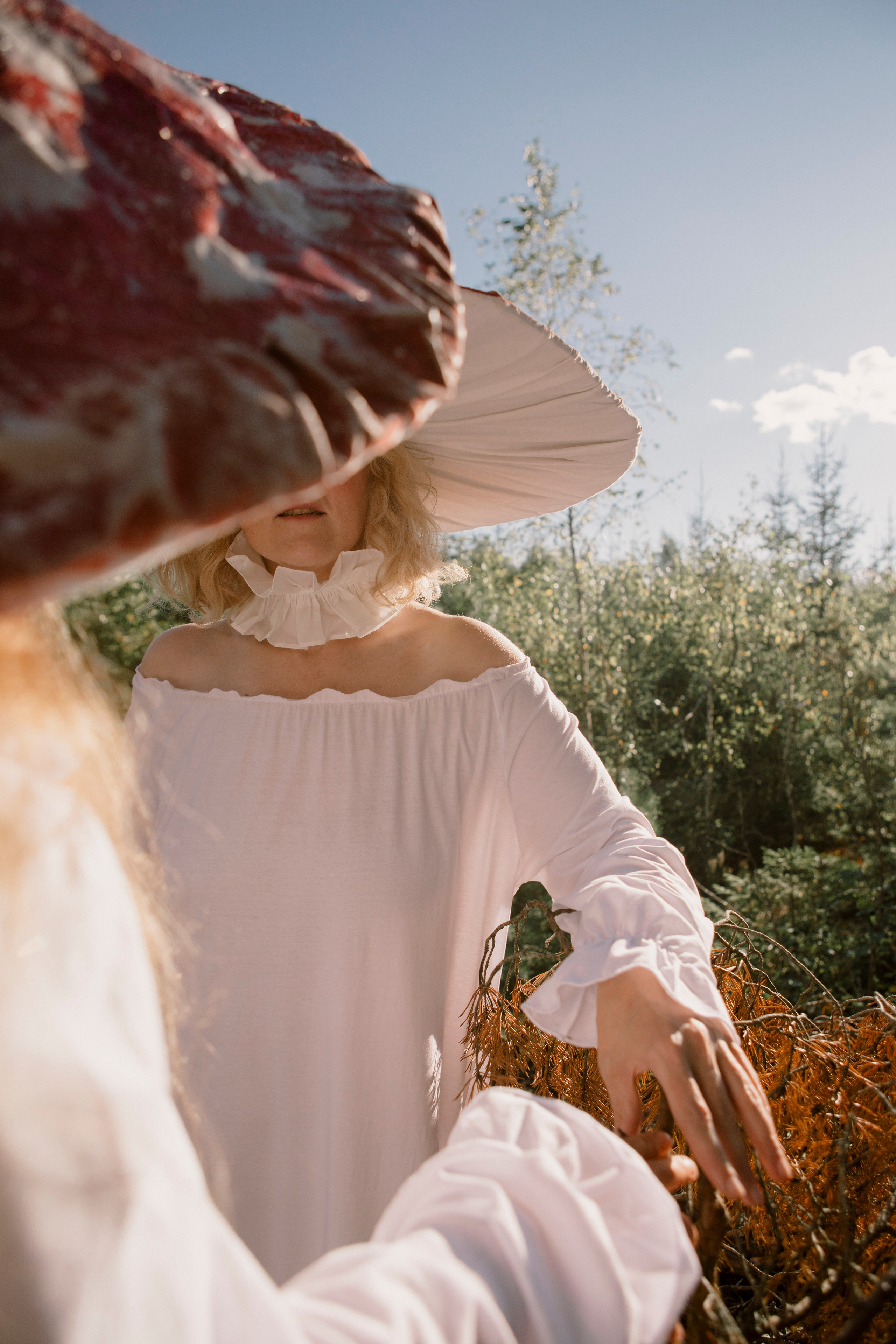 Грибы. Ольга Пилант. АРТ, бэкстейдж, свадебная и семейная фотография, городской портрет, интерьерная фотография