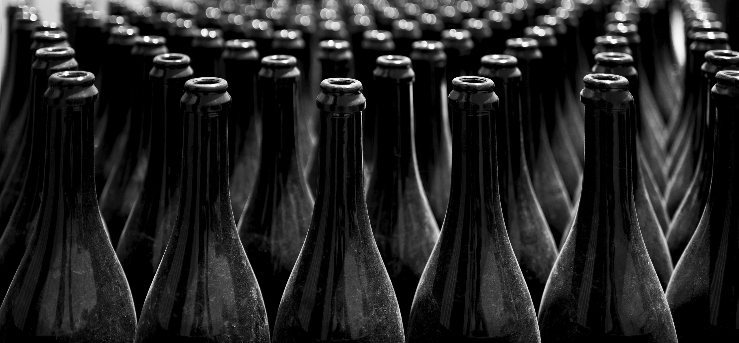 Арт-фото. Михаил Данилов | Фотограф