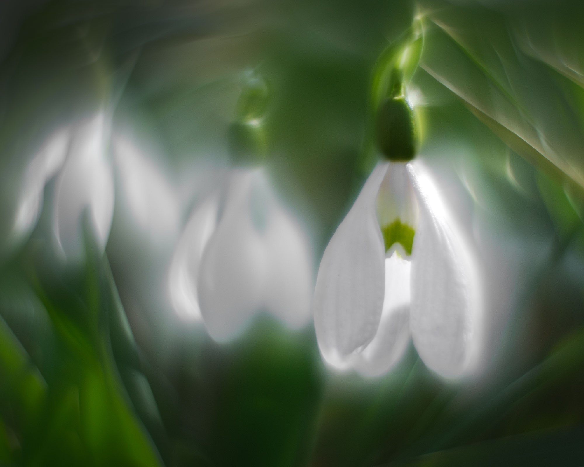 Весенний Крым 2026