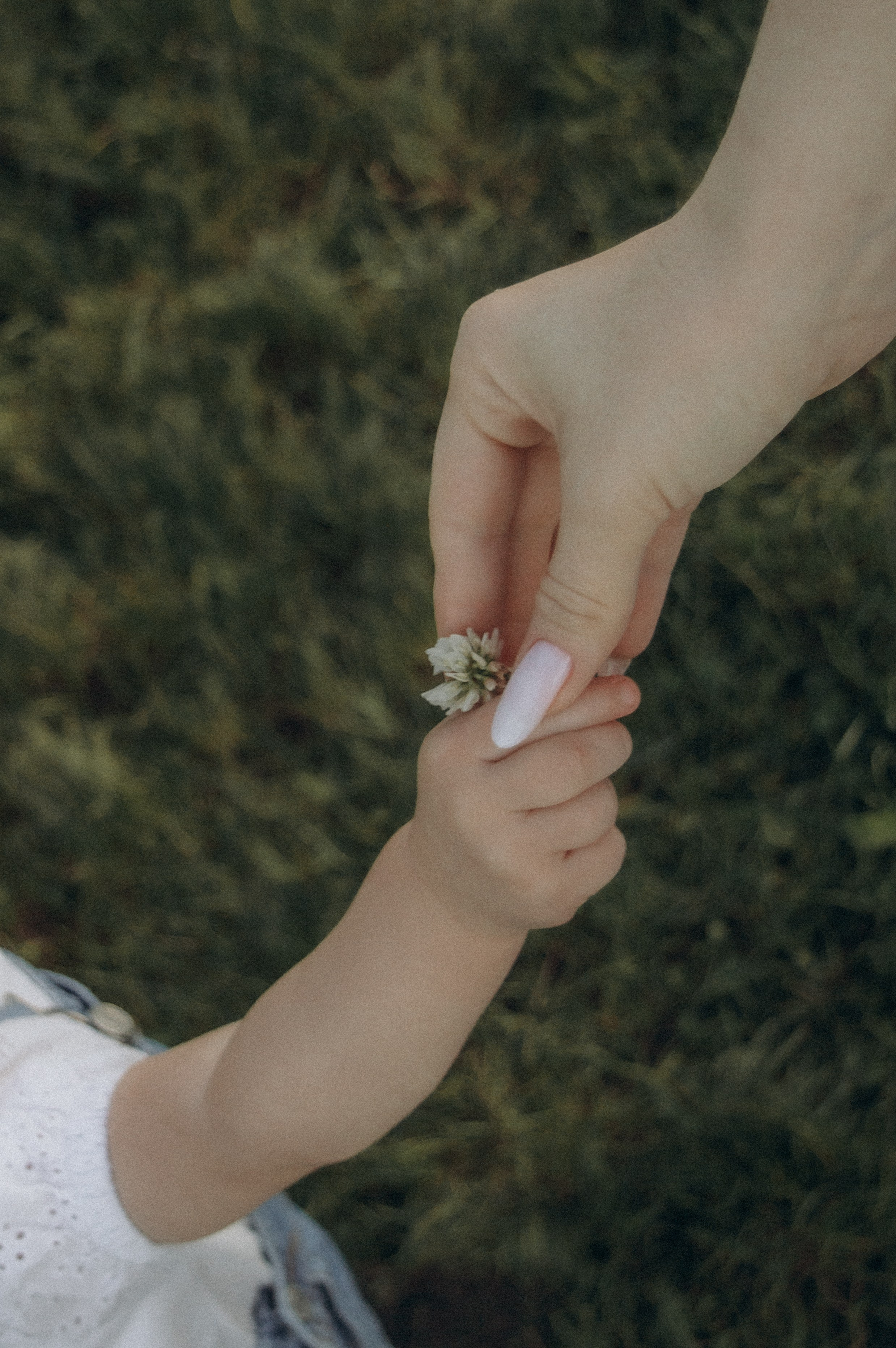 Аромат августа. Семейная летняя фотосессия в парке. Москва. Юлия Левада Семейный и женский фотограф