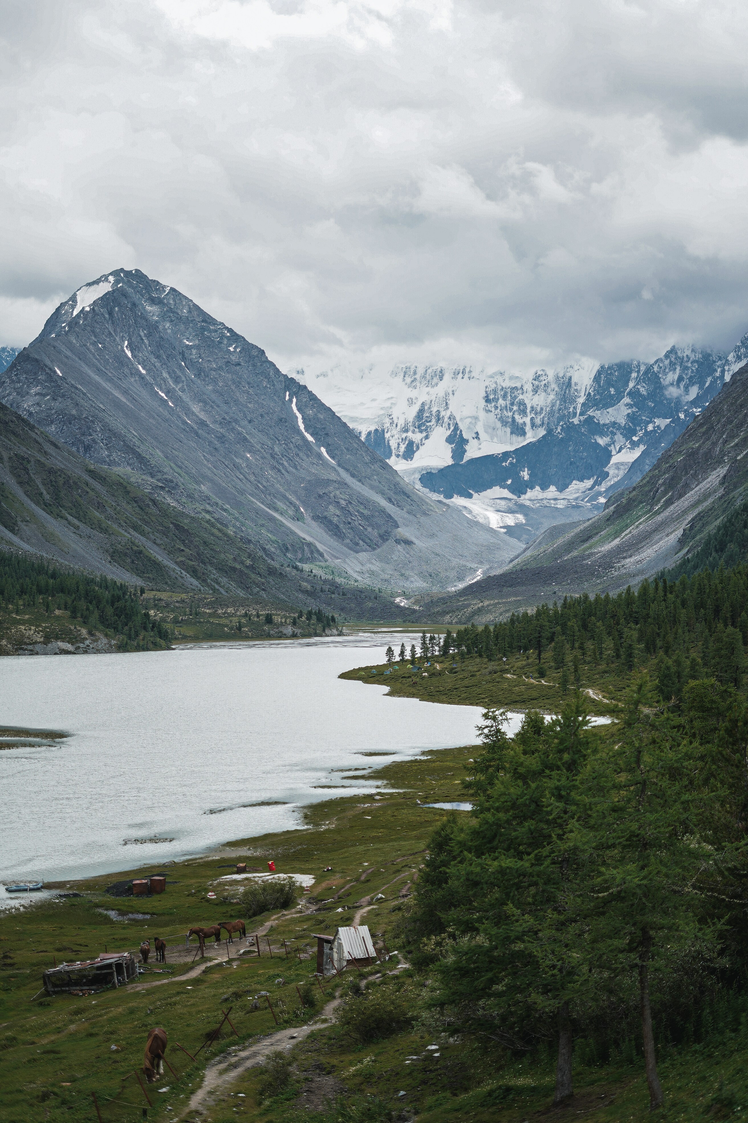 Алтай, поход к Белухе 2023. Фотограф Ольга Пучкова