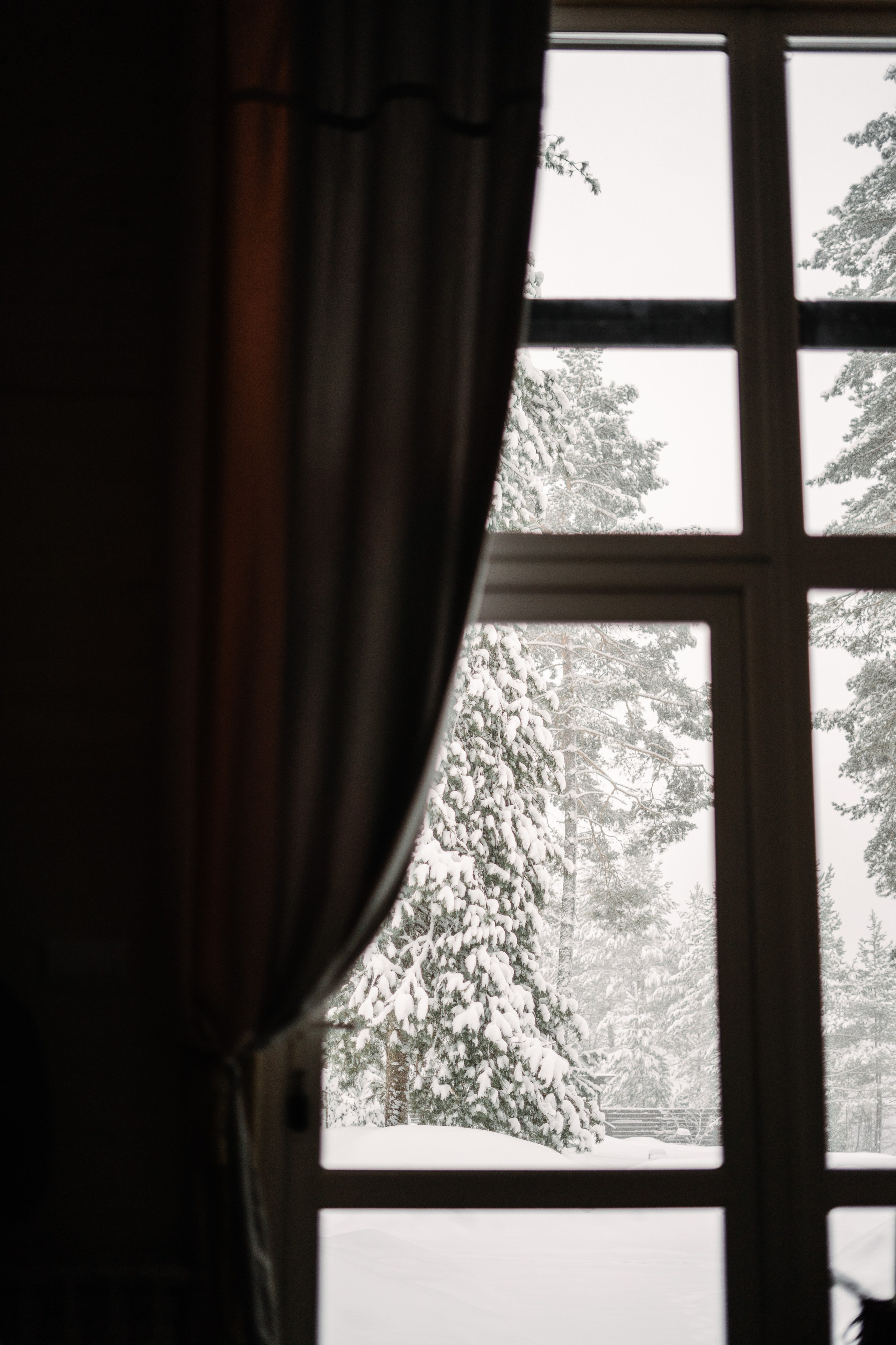 Релекс ТЕЛЕЦКОЕ. Фотограф Ольга Пучкова