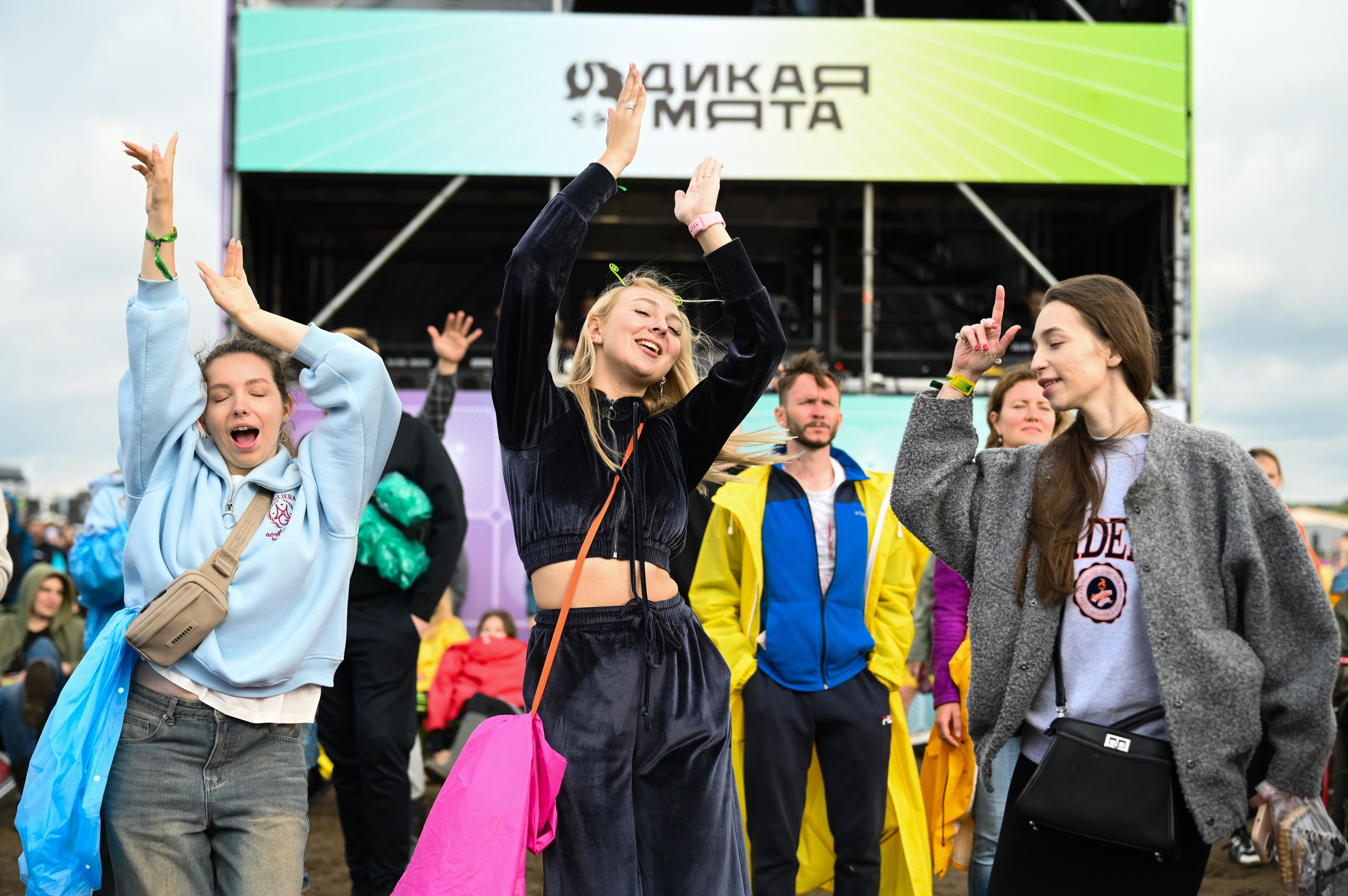 Дикая мята 2025. Фотограф и видеооператор в Туле | Даниил Рыбак