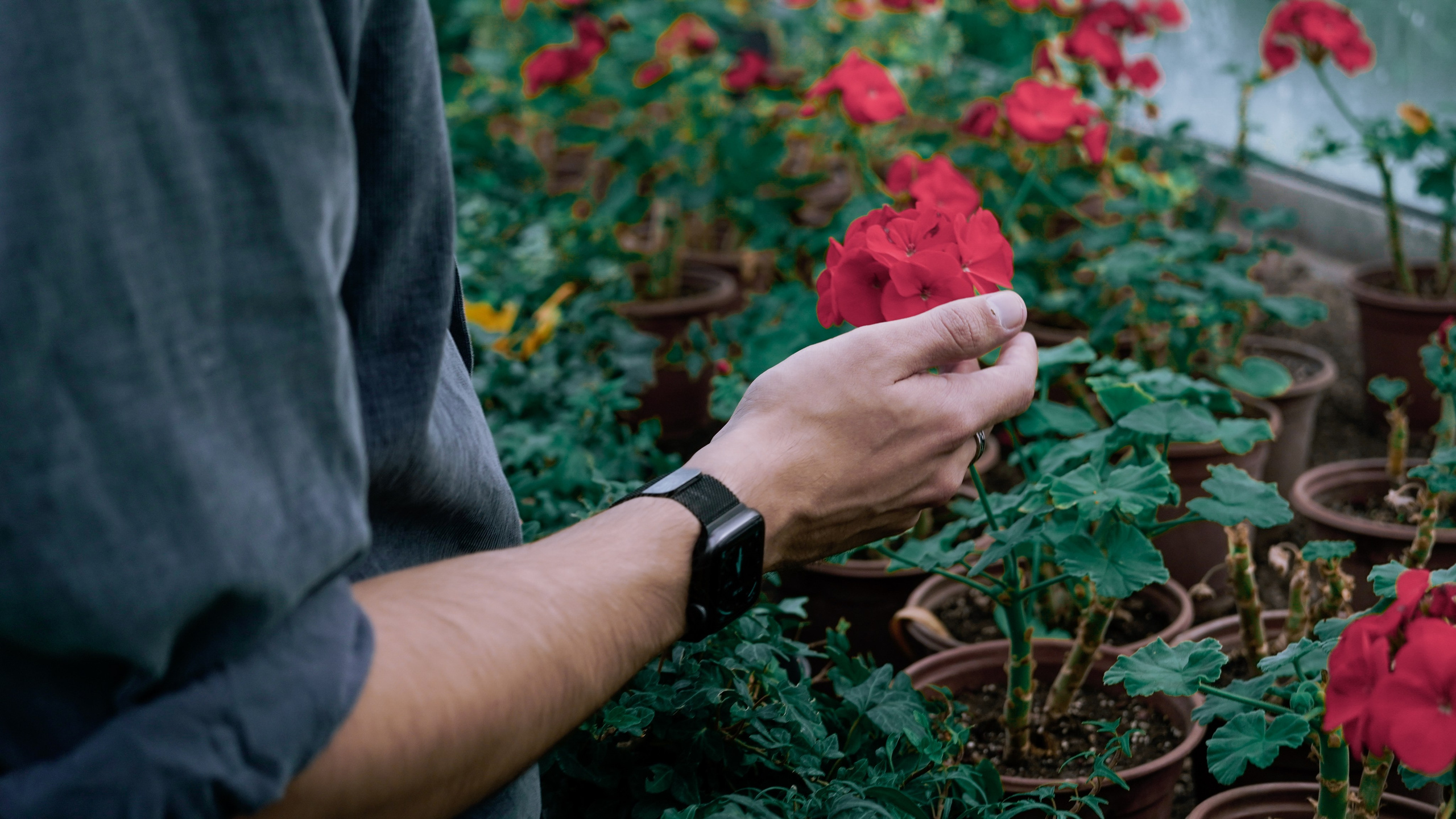 КИРИЛЛ | ГАРДЕНИА. Photographer Barcelona