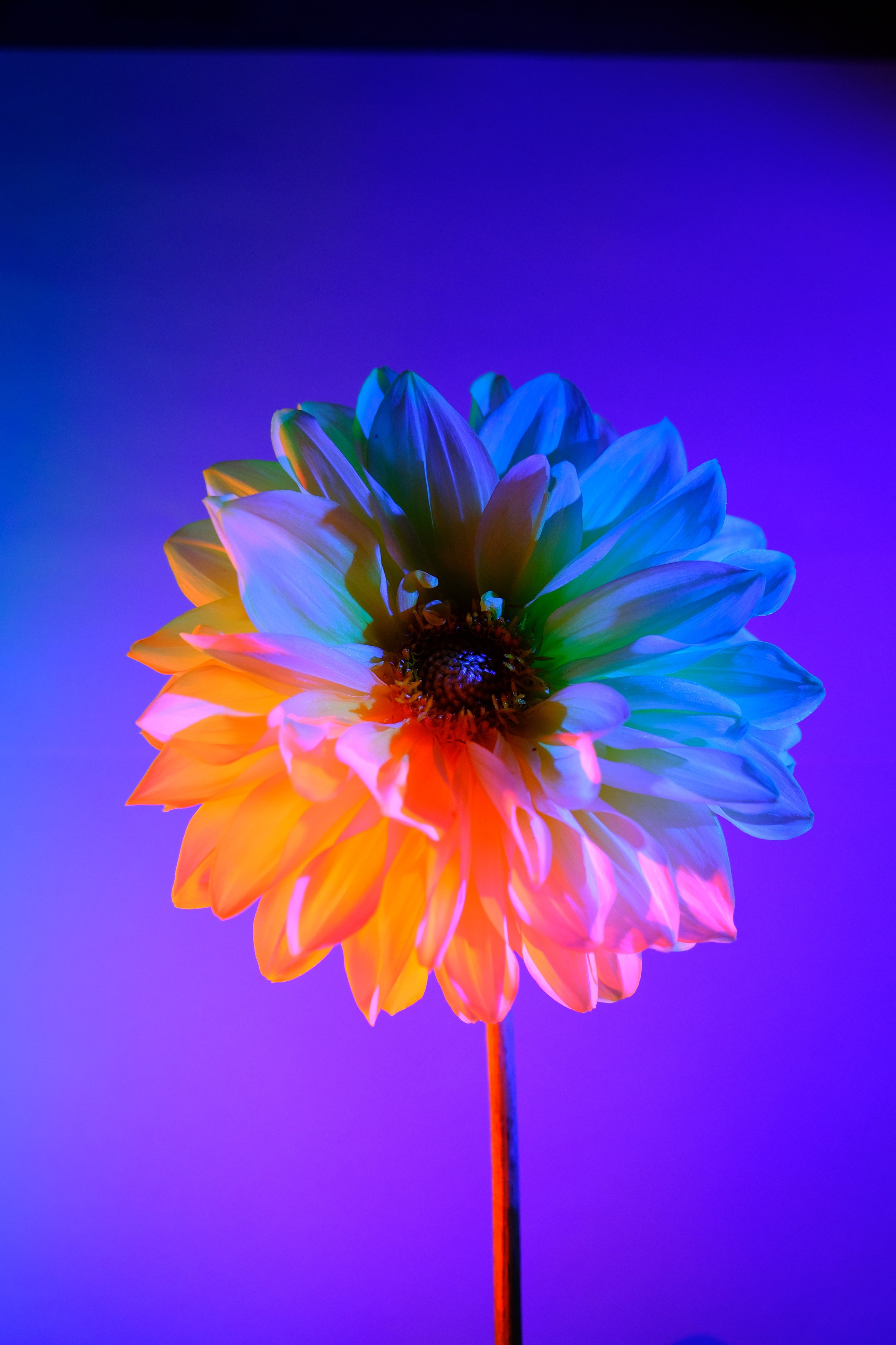 Nature. GubanovPhoto