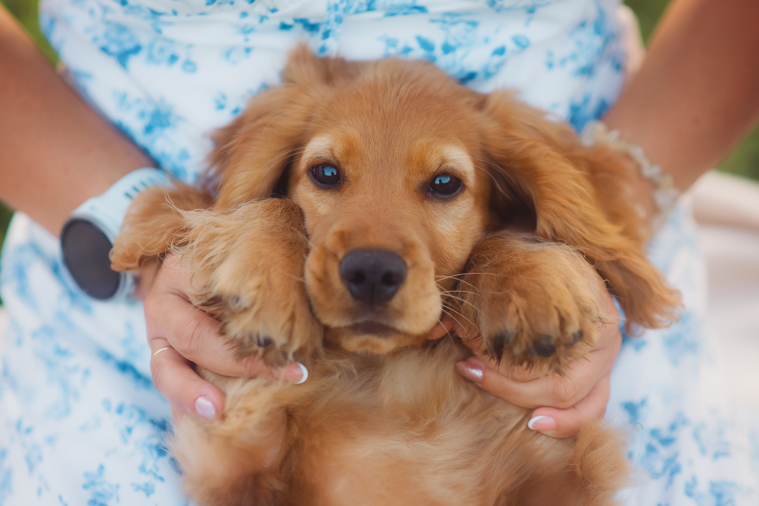 Наташа, Агата, Назар и Август — 17.07.2025. Фотограф — Анималист | Анна Абрамова