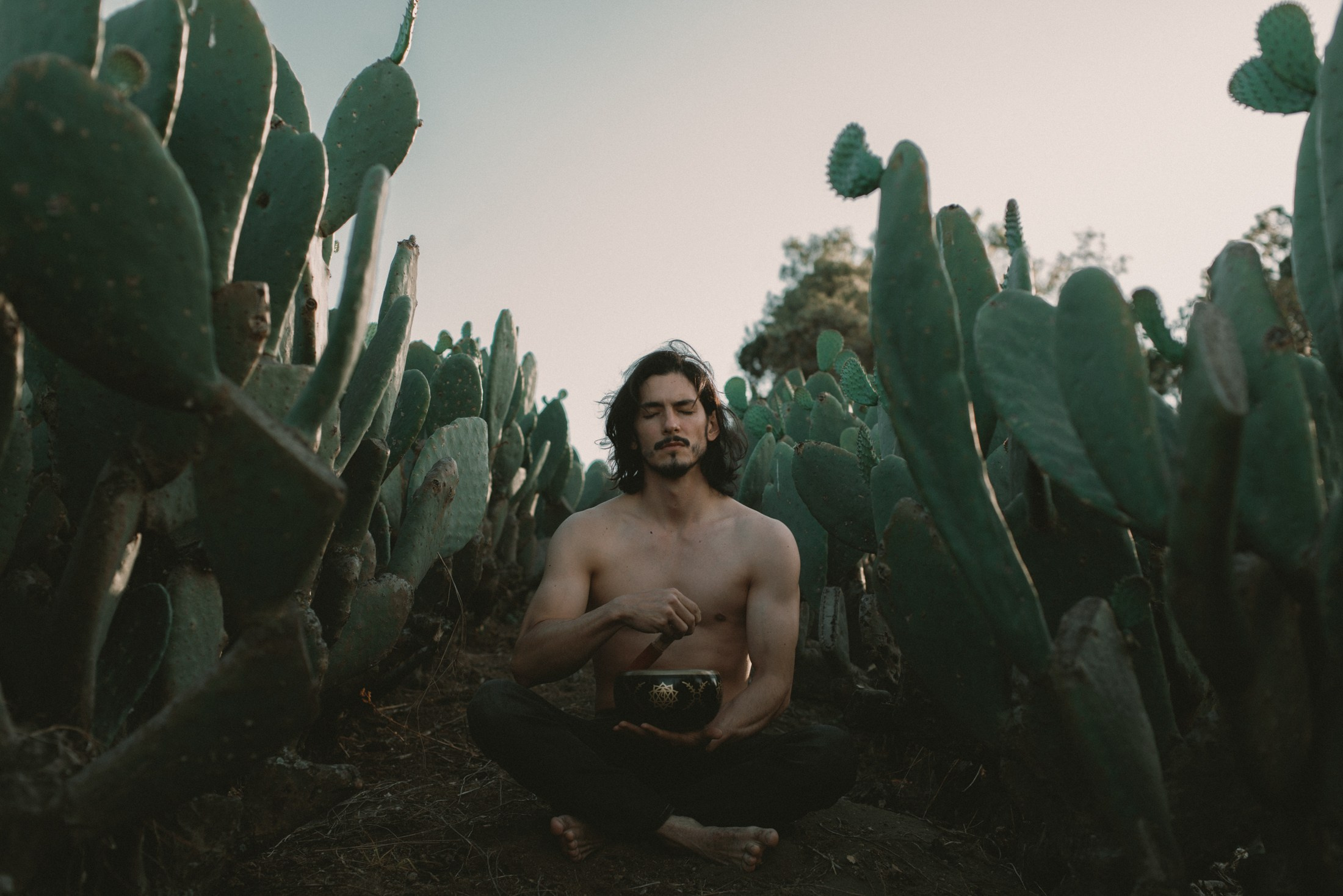 Фотография мексиканец с кактусами