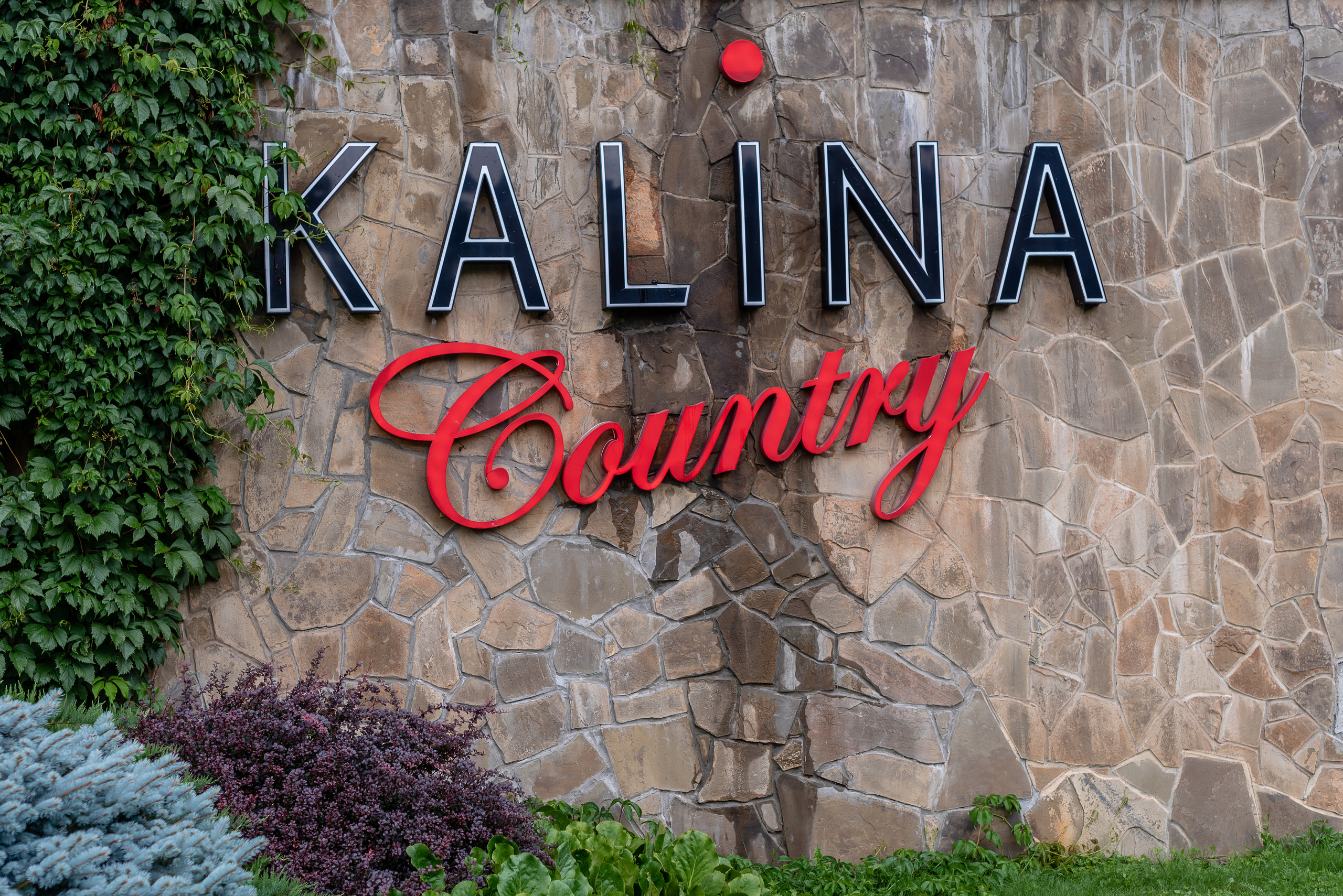 Заказать фотосессию. Свадебный фотограф в Москве и Московской области Елена Четоркина