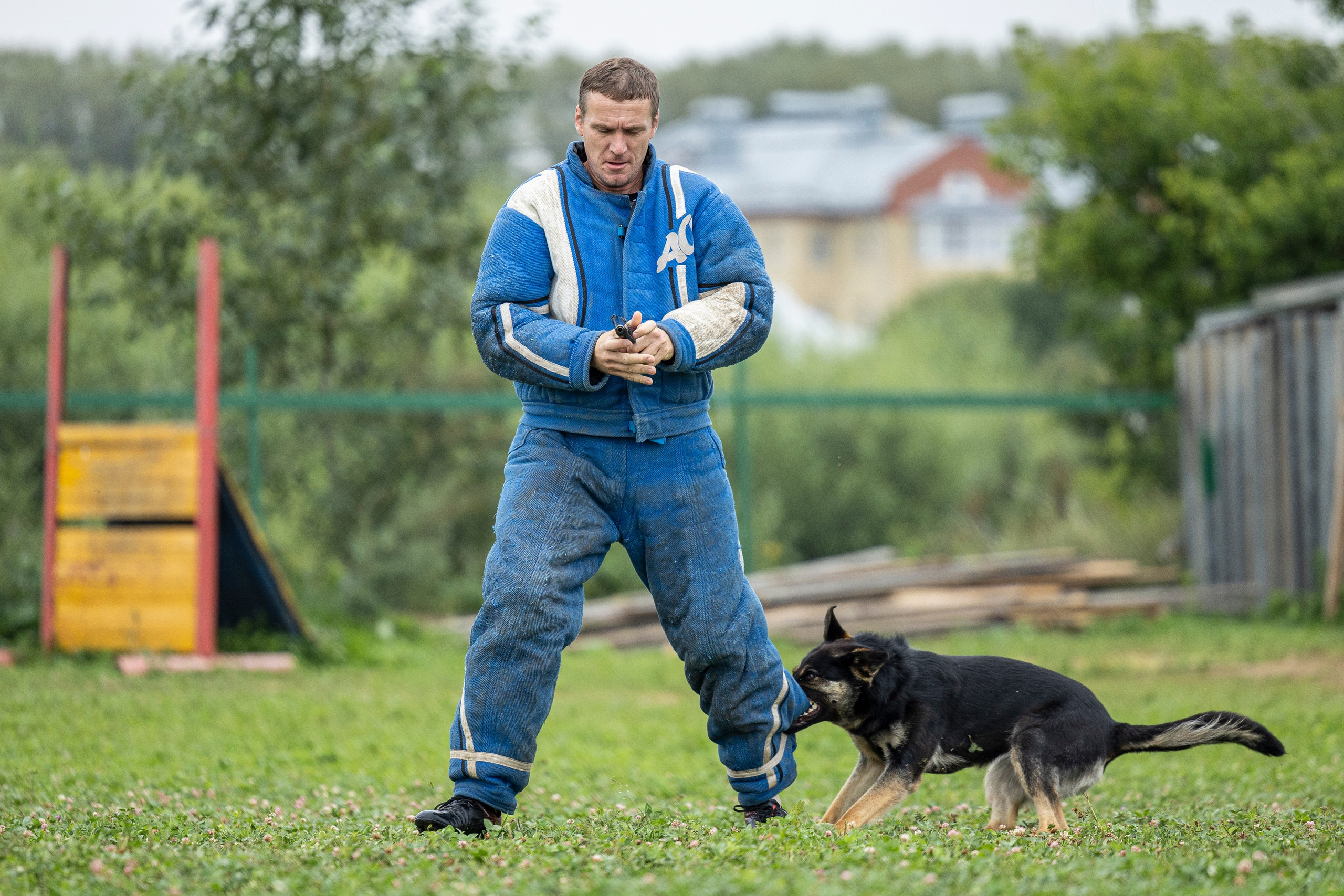 Соревнования по Мондьорингу г. Вологда 10-11.08.2024. Фотограф-анималист Анна Маринич