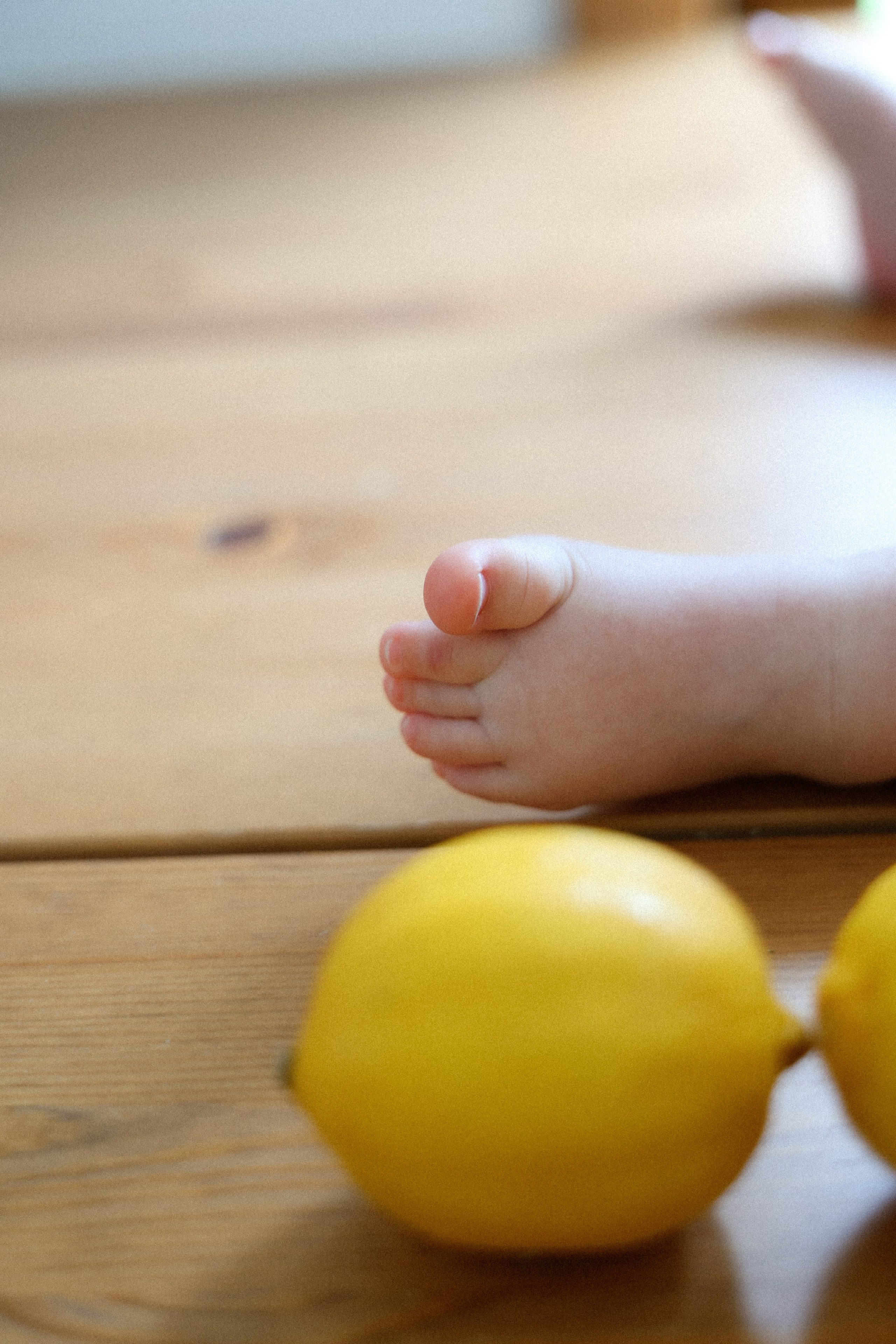 Наш дом…. Фотограф НатаФото (Наталья Яковенко) Дмитров Москва Питер