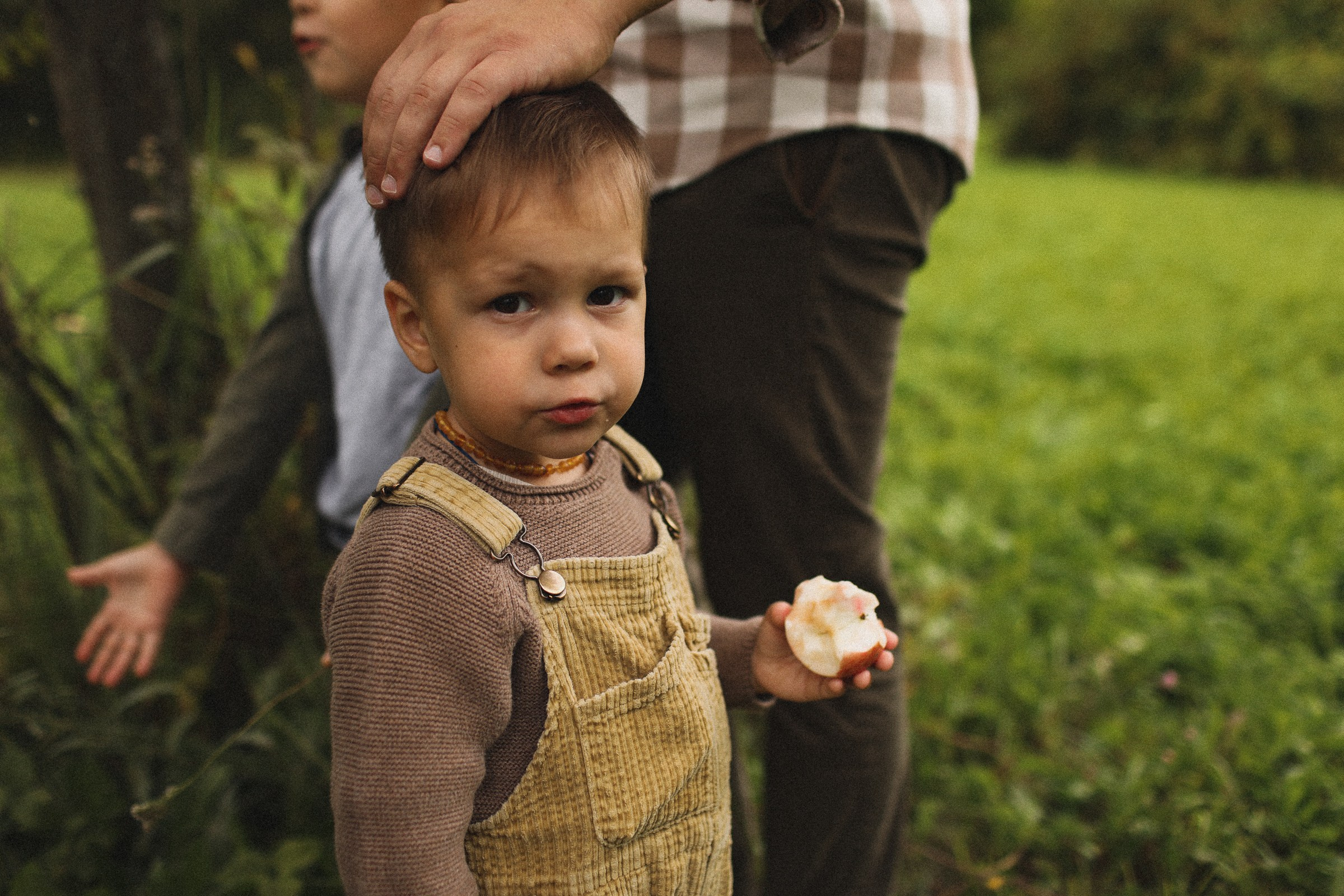 Кошки-Мышки. Семейный фотограф в Москве Алевтина Носова