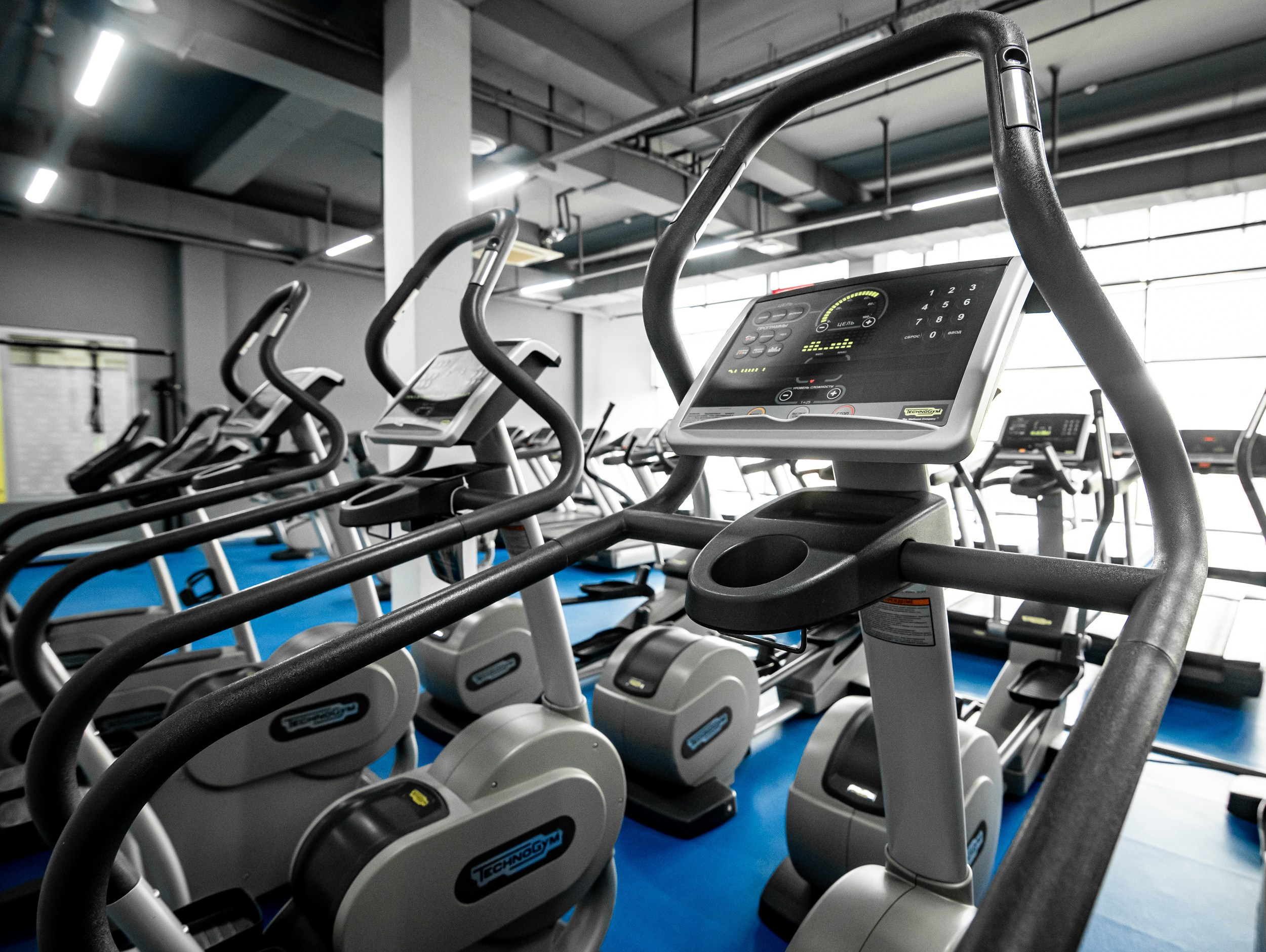 Alex Fitnes. Главная