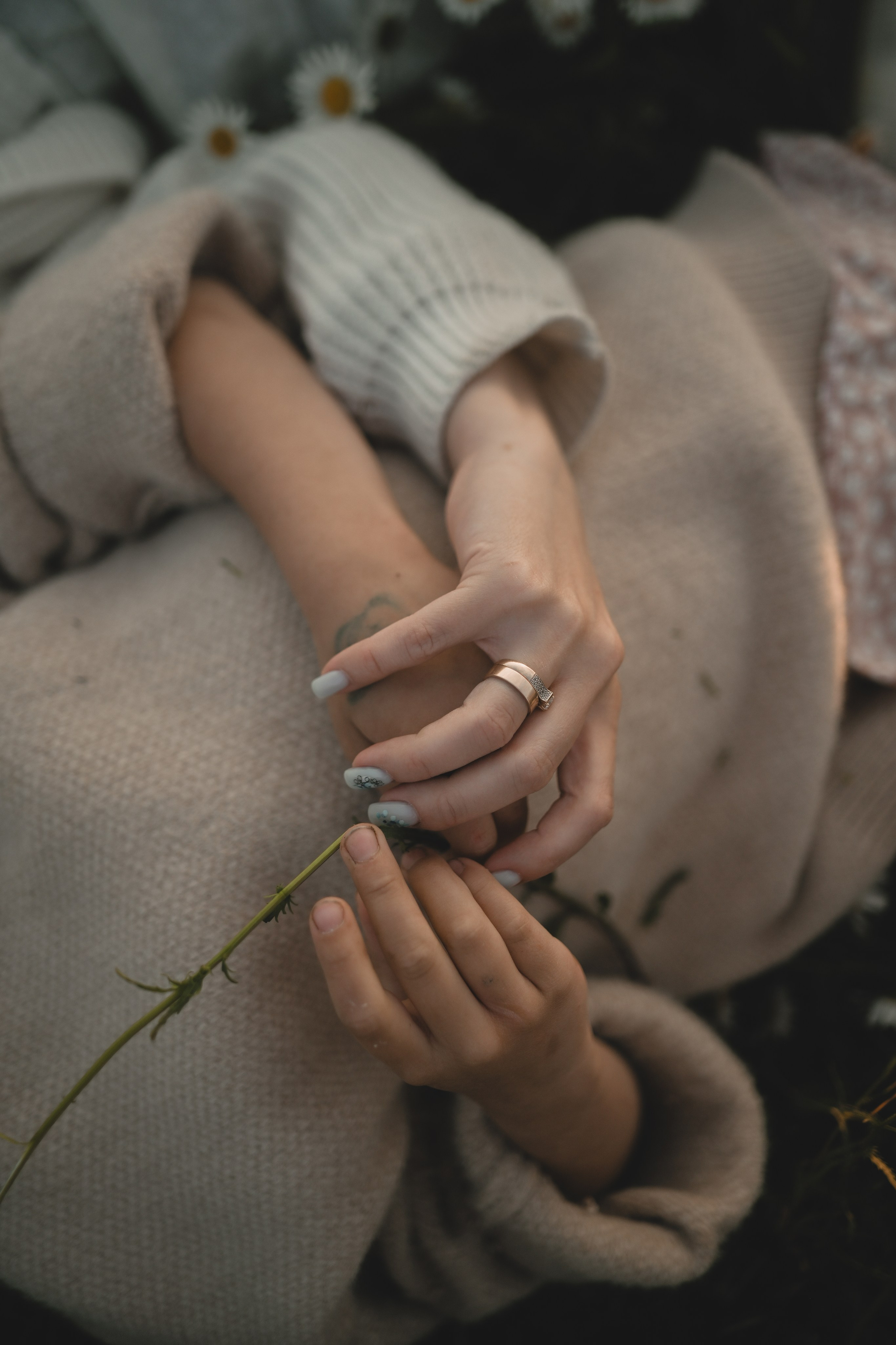 Семейная фотосессия в ромашковом поле в Крыму. Свадебный и семейный фотограф и видеограф, Крым, Москва, Санкт -Петербург