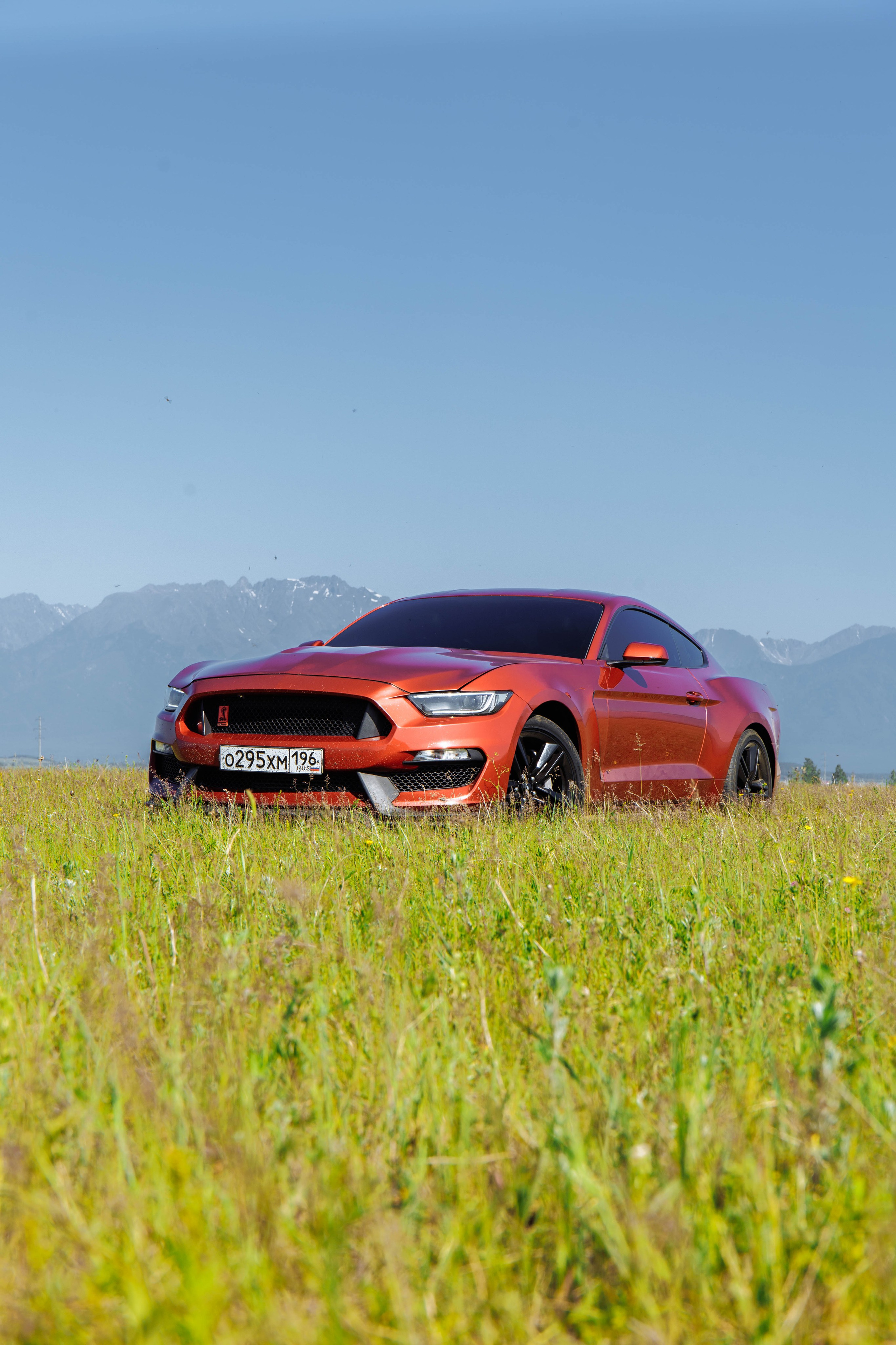 MUSTANG. Репортажный фотограф в Иркутске — Ярослав Ковалёв