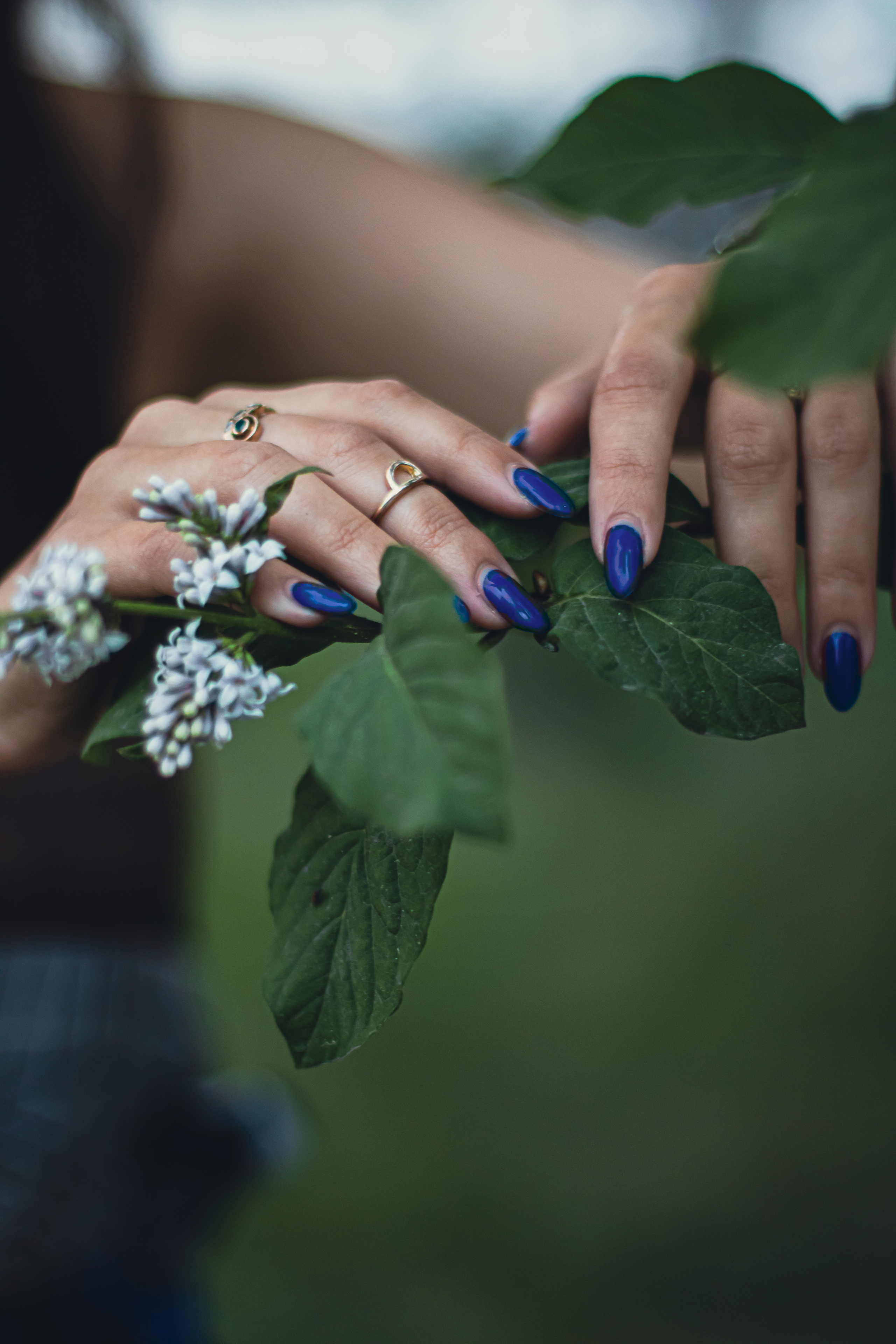 Софья. Денис Климачев. Фотограф. Город Новосибирск