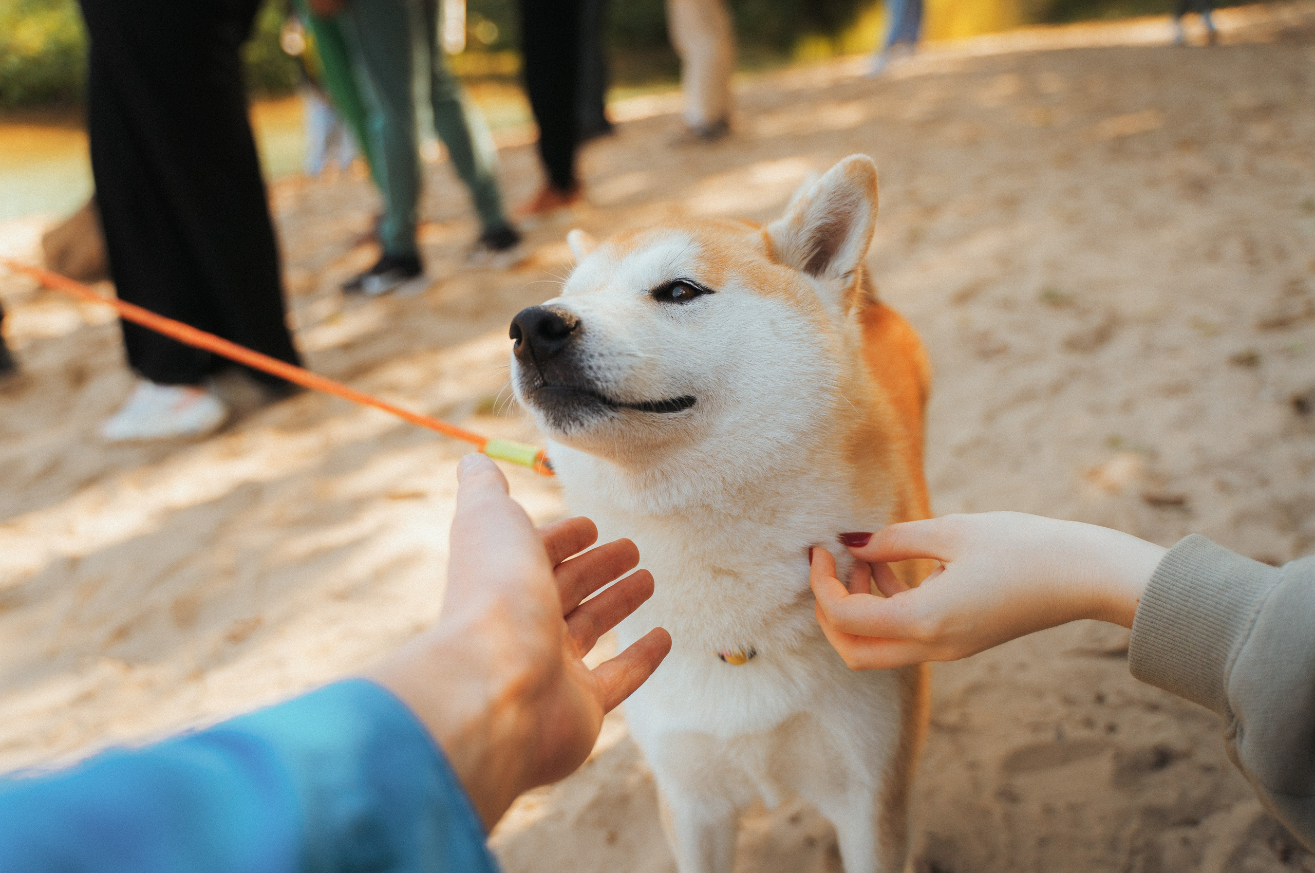 Good Friends Trip / команда локальных путешествий. Саша Копылов, фотограф в Казани
